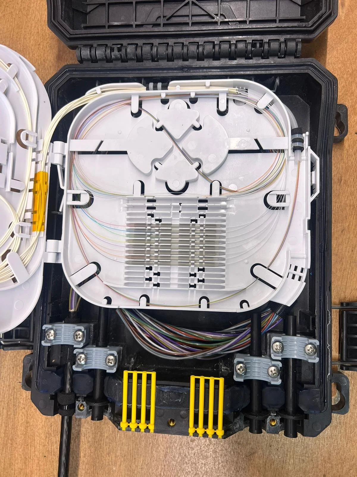 PHOTO-2023-11-07-12-48-04 2.jpg