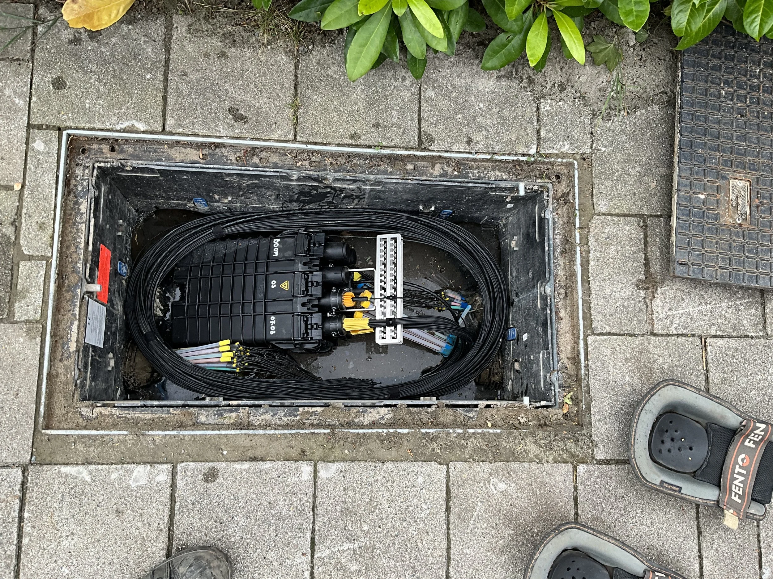 488B4621-AA08-49C6-A215-3BBAF99B9755 (1).jpeg