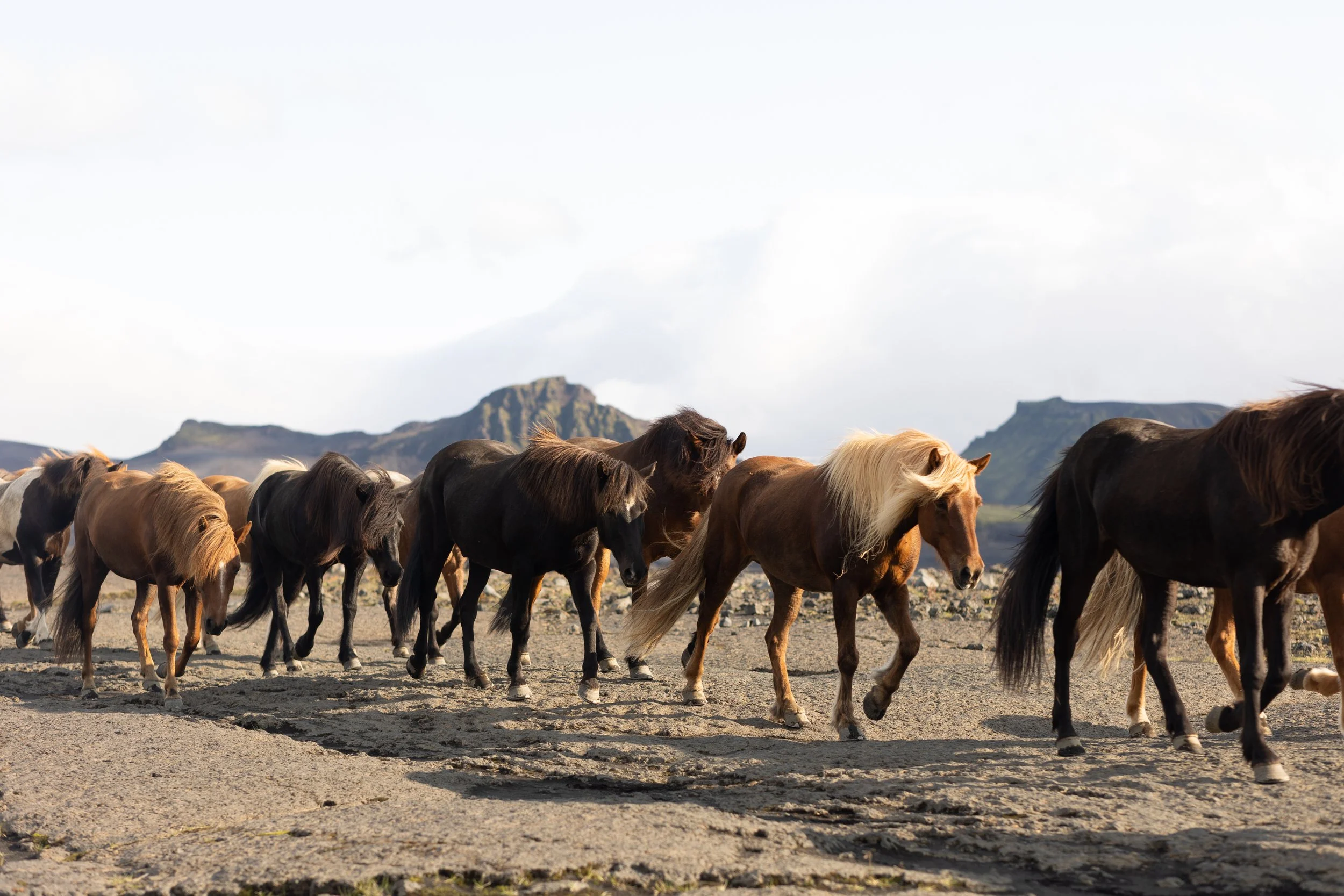 Iceland-Elopement-Photos-24.jpg