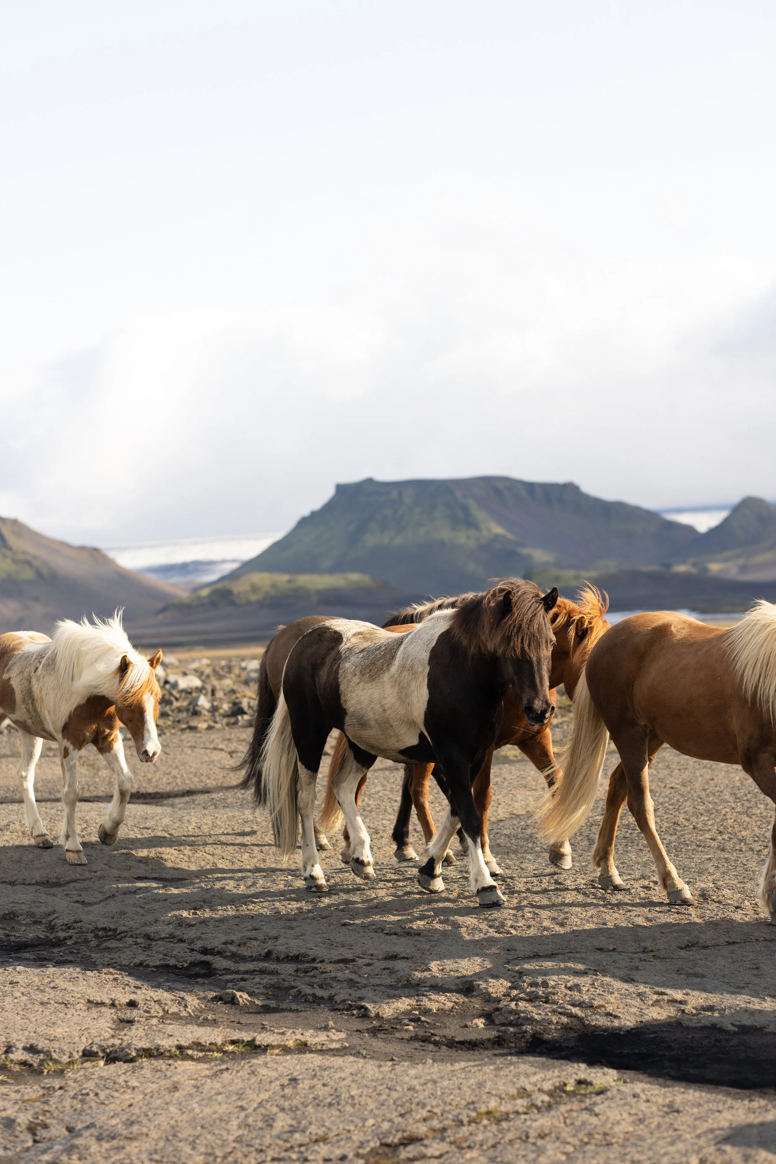 Iceland-Elopement-Photos-26.jpg