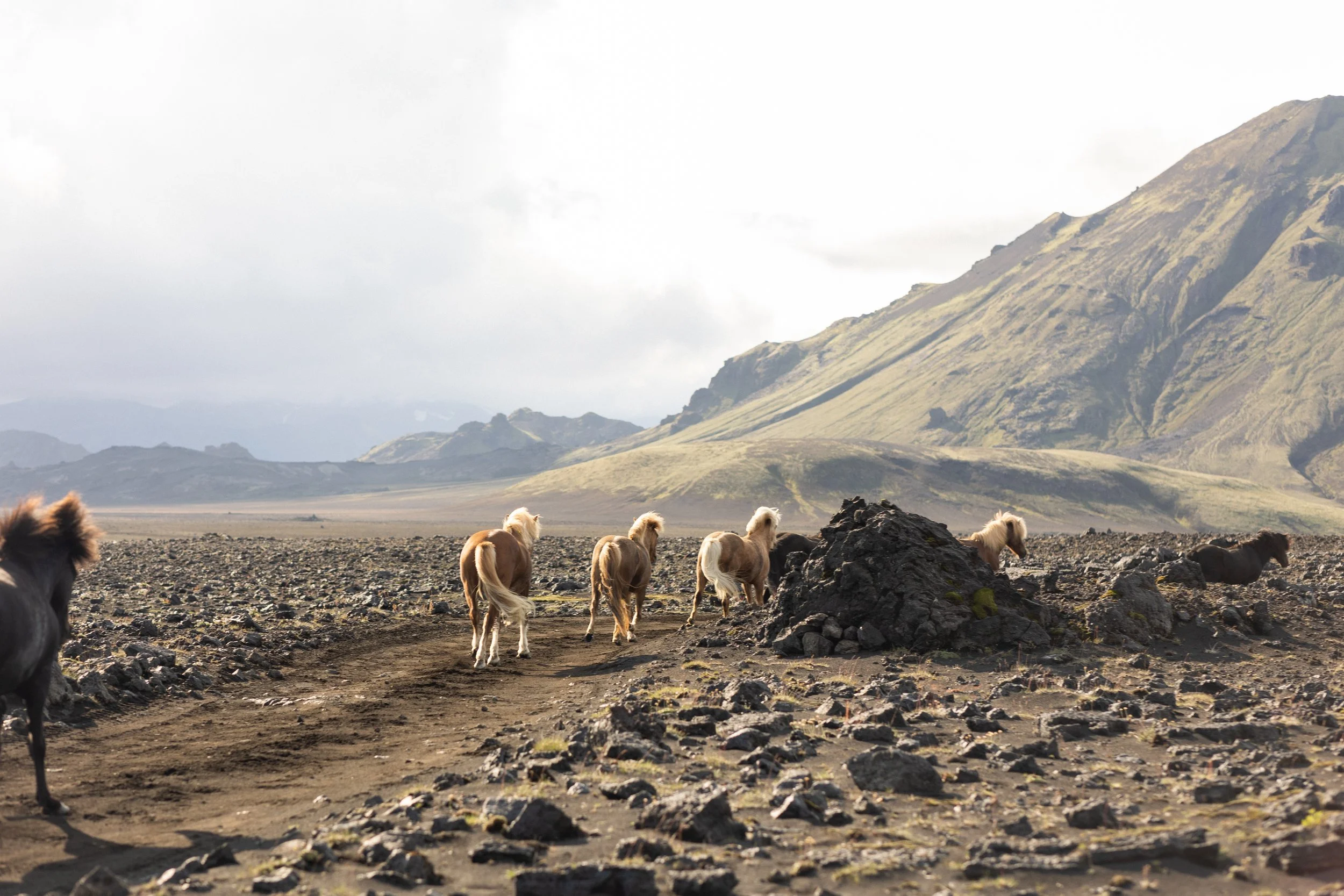 Iceland-Elopement-Photos-27.jpg