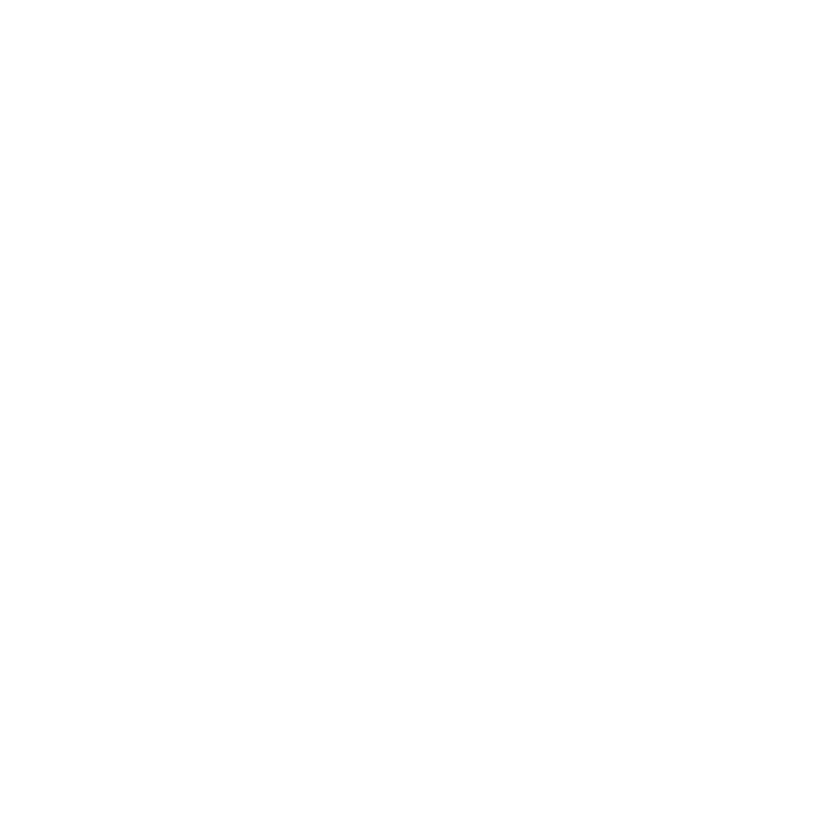 TWIZEL SALMON & WINE FESTIVAL