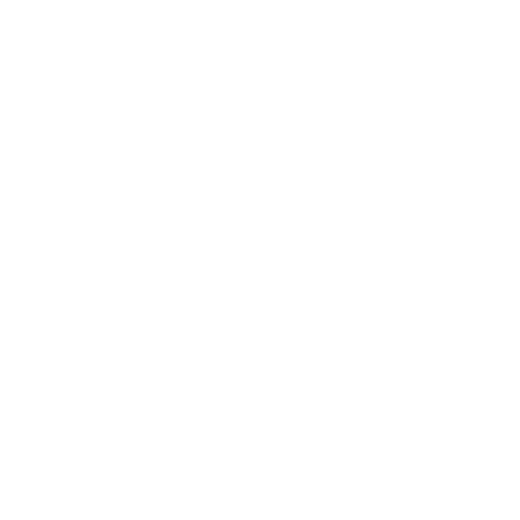 TWIZEL SALMON &amp; WINE FESTIVAL
