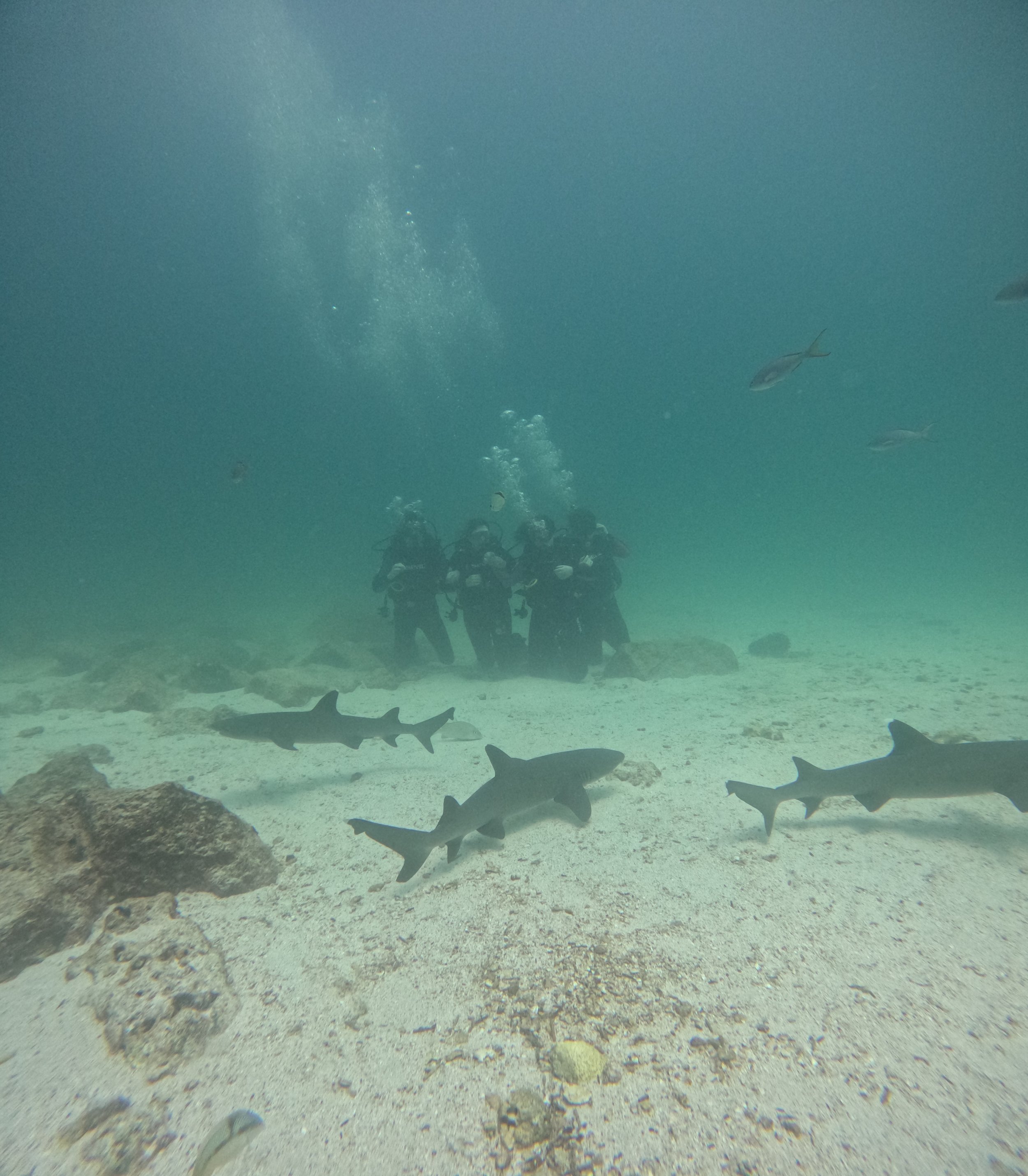 GOPR4994.JPG