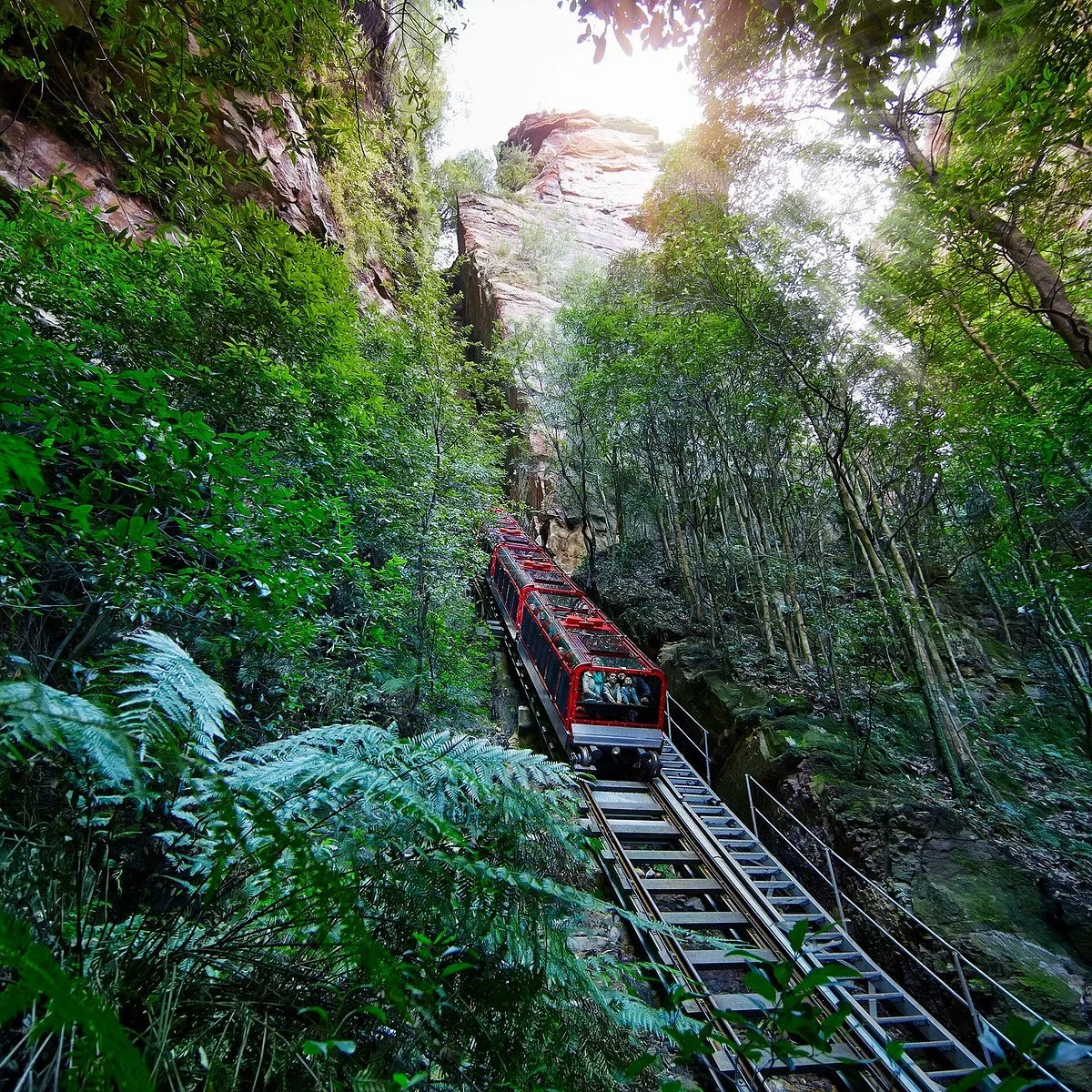 scenic-railway-discover.jpg