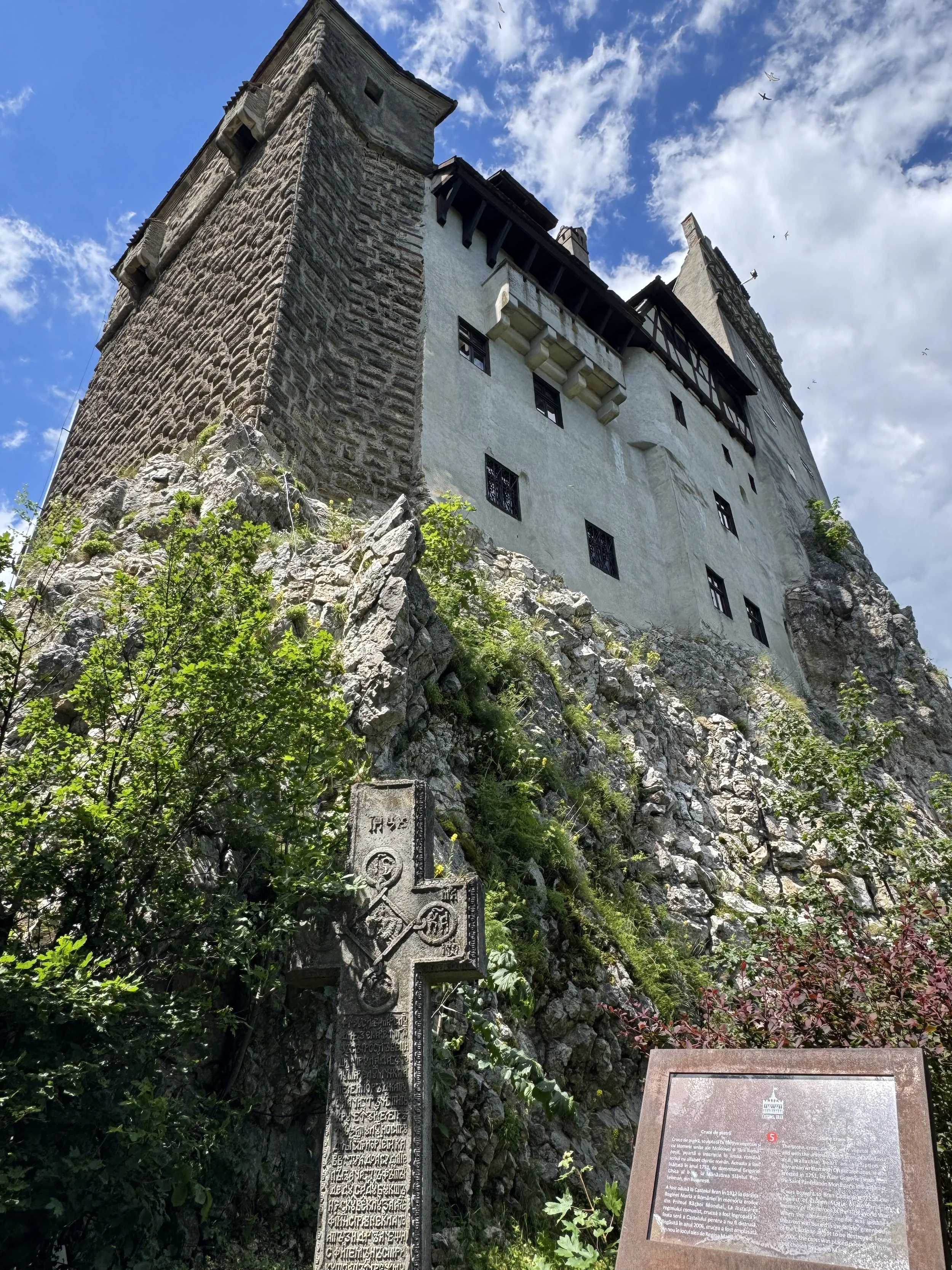 IMG_5655.jpeg