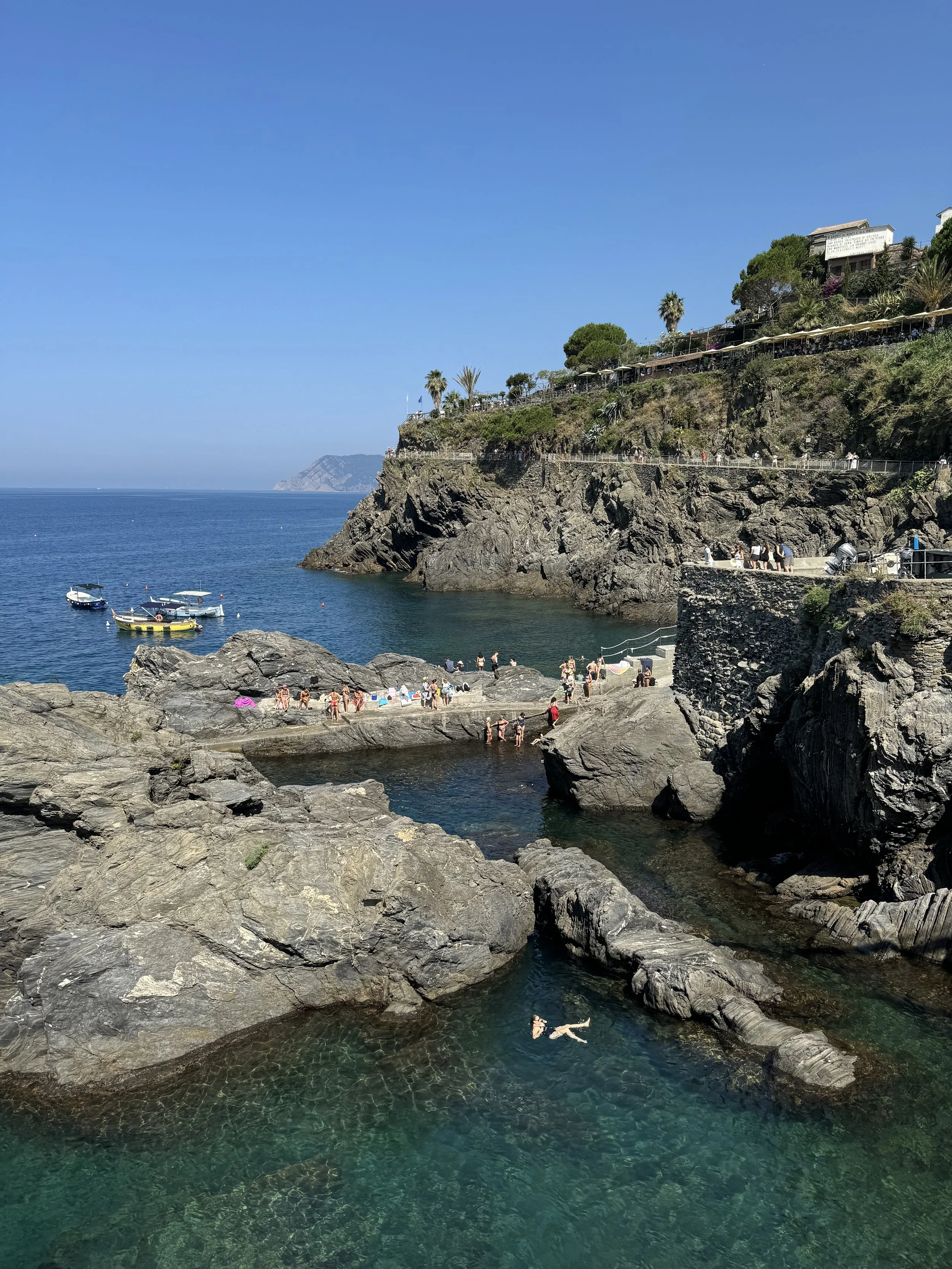 IMG_0310.jpeg