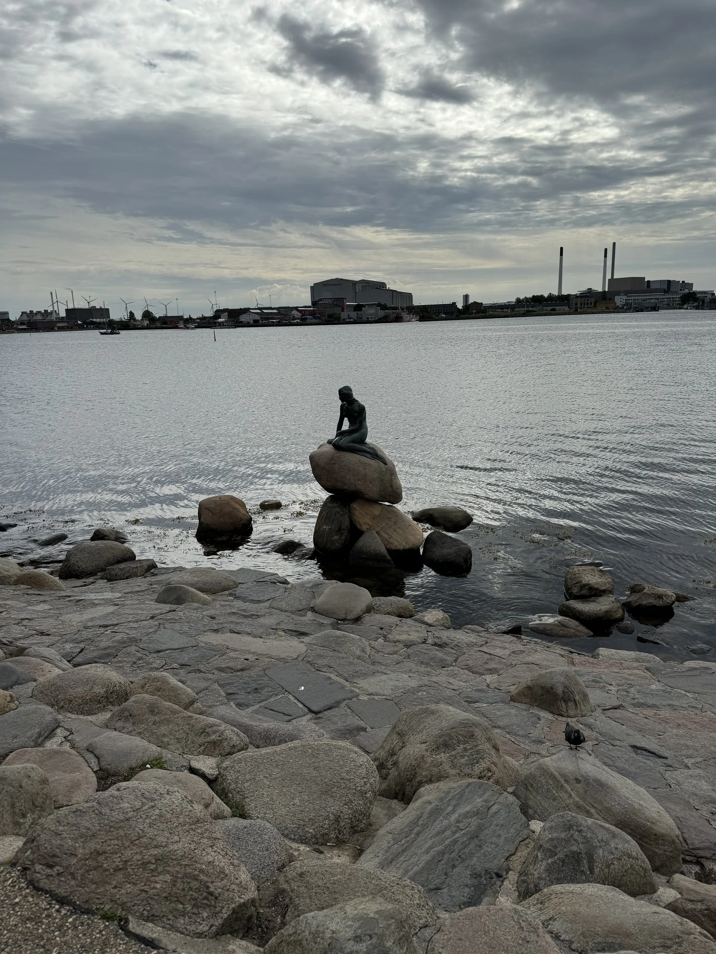 IMG_0060.jpeg