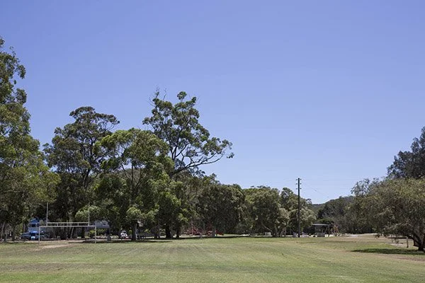 A park with green grass, various trees, a clear blue sky, and some structures in the background.