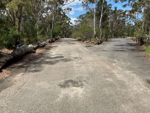 A road splitting into two paths surrounded by trees and greenery on a sunny day, with a clear blue sky.