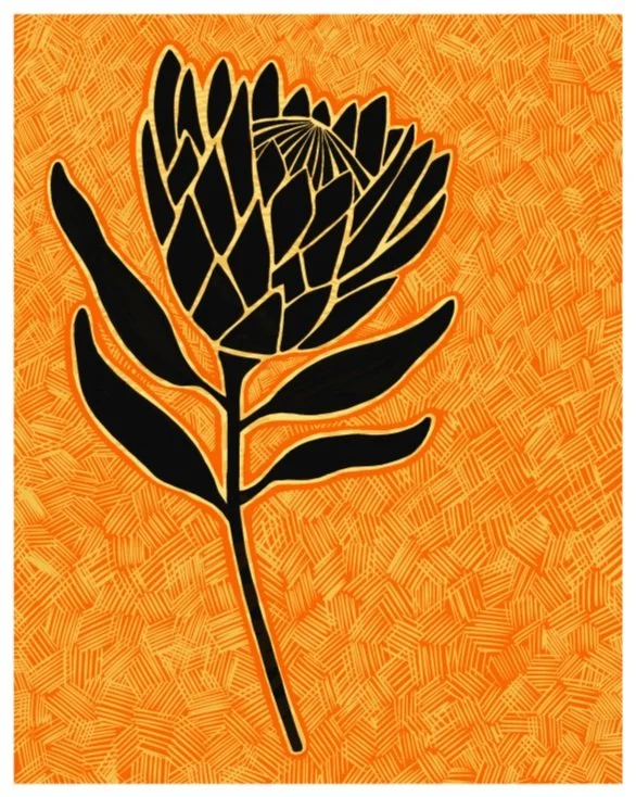 My Protea