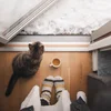 Shaping A Slow Creative Habit That You Love — Elin Lööw