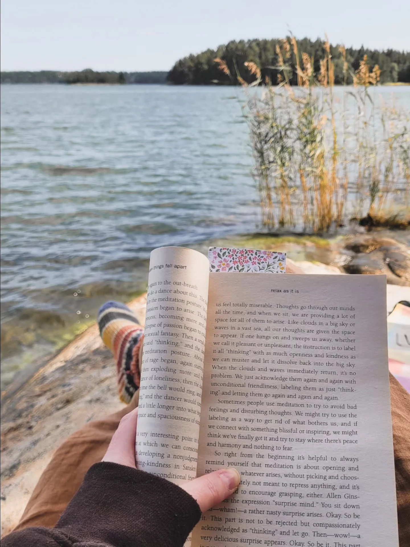 Slow living has been on my mind this summer. It used to be something I practiced and followed, until I decided not to. For the past year, I've wondered whether I should return to it or not.

In a long post on my Substack, I've written all my thoughts