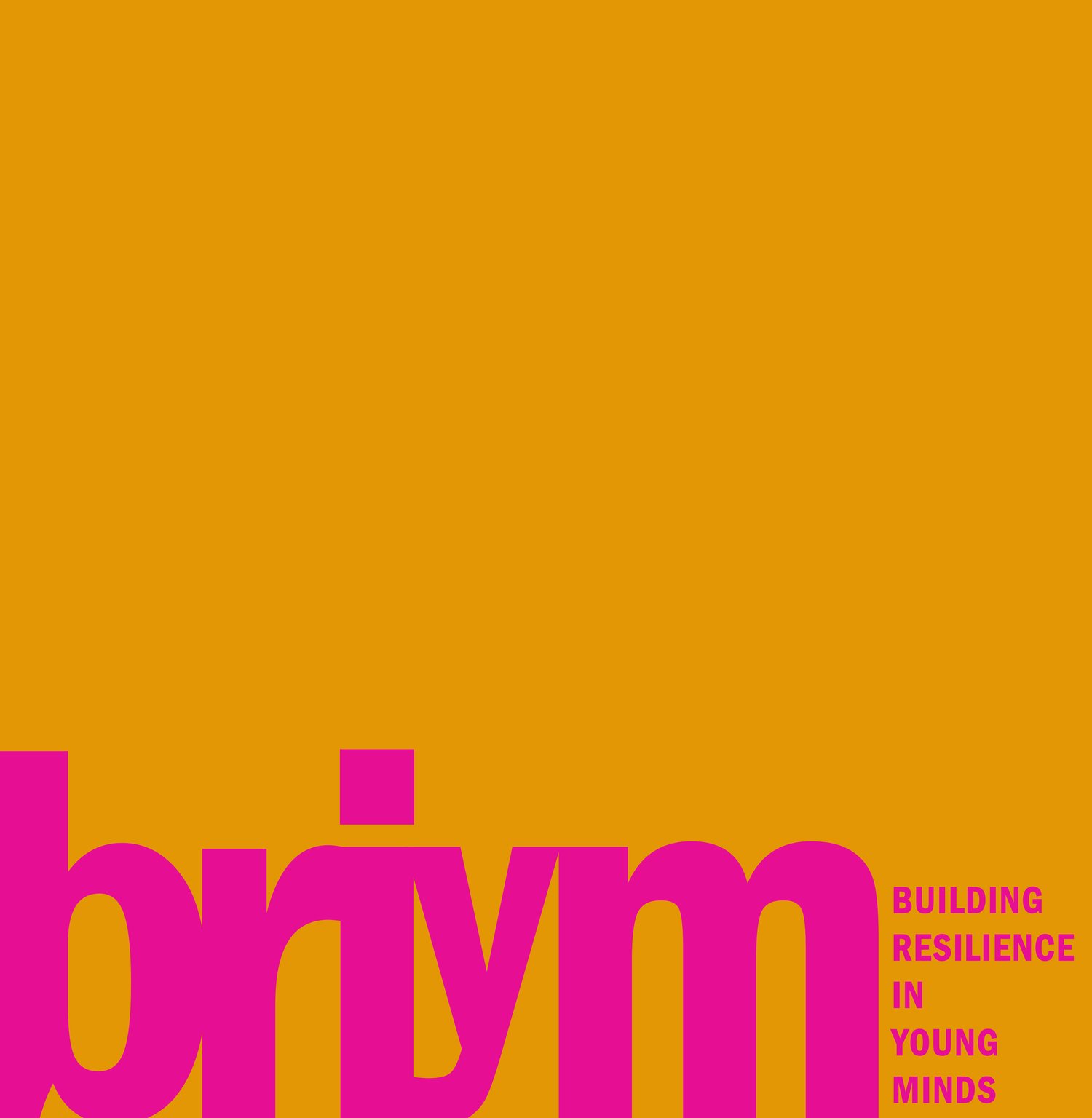 briym - Building Resilience in Young Minds