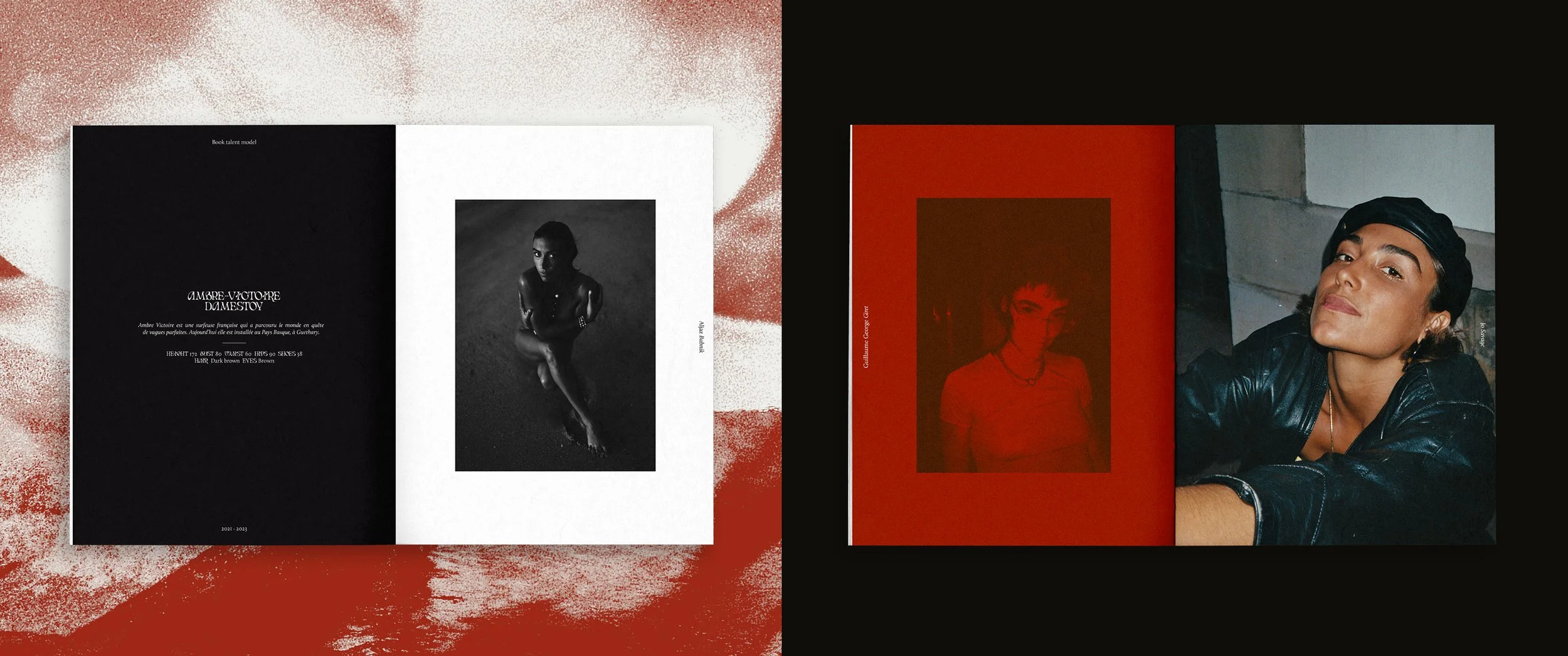 AMBERVD4.jpg