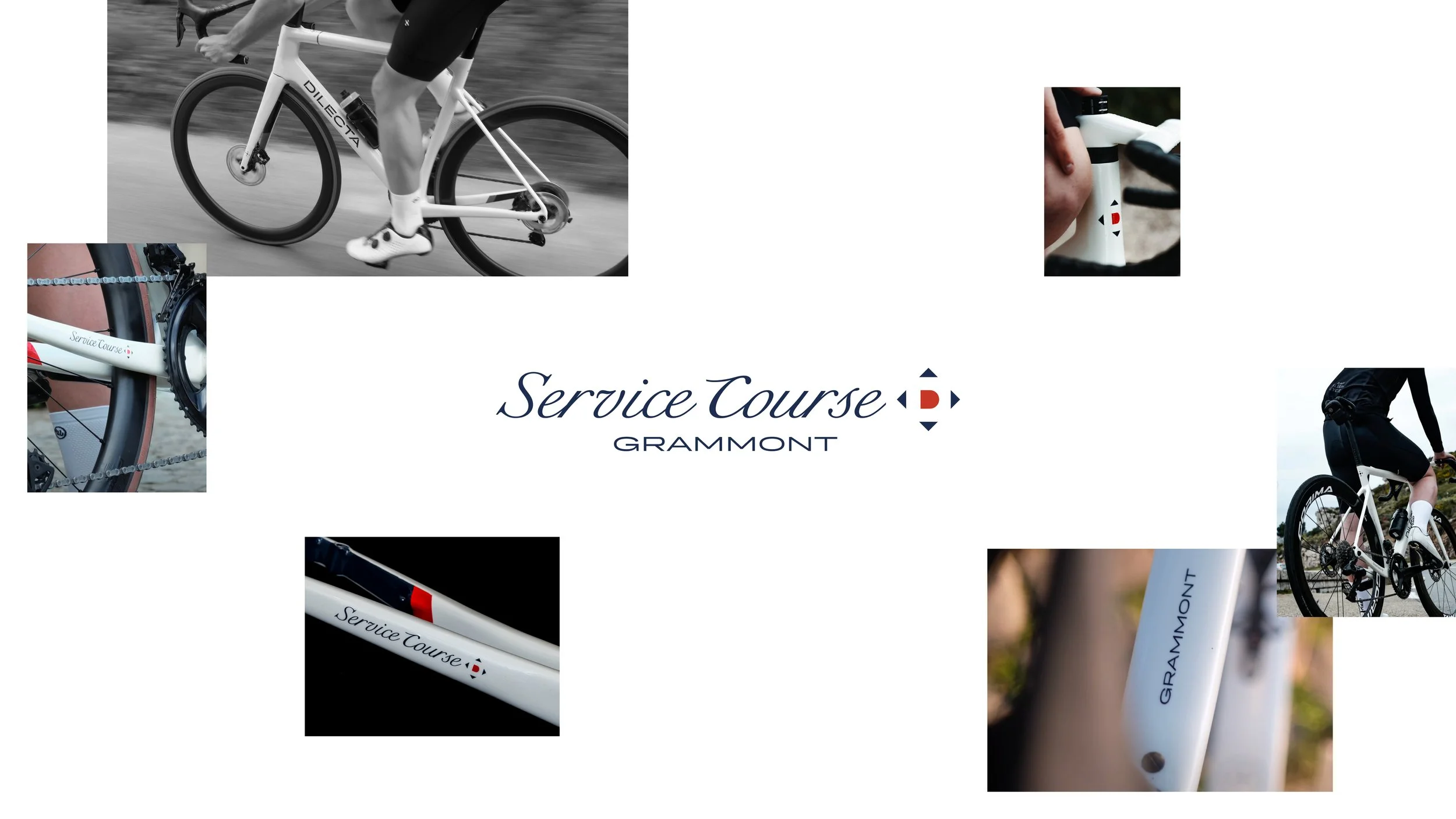 Design made in France Dilecta Cyclisme Logo Identité visuelle DA Branding outdoor Graphisme sportif.jpg