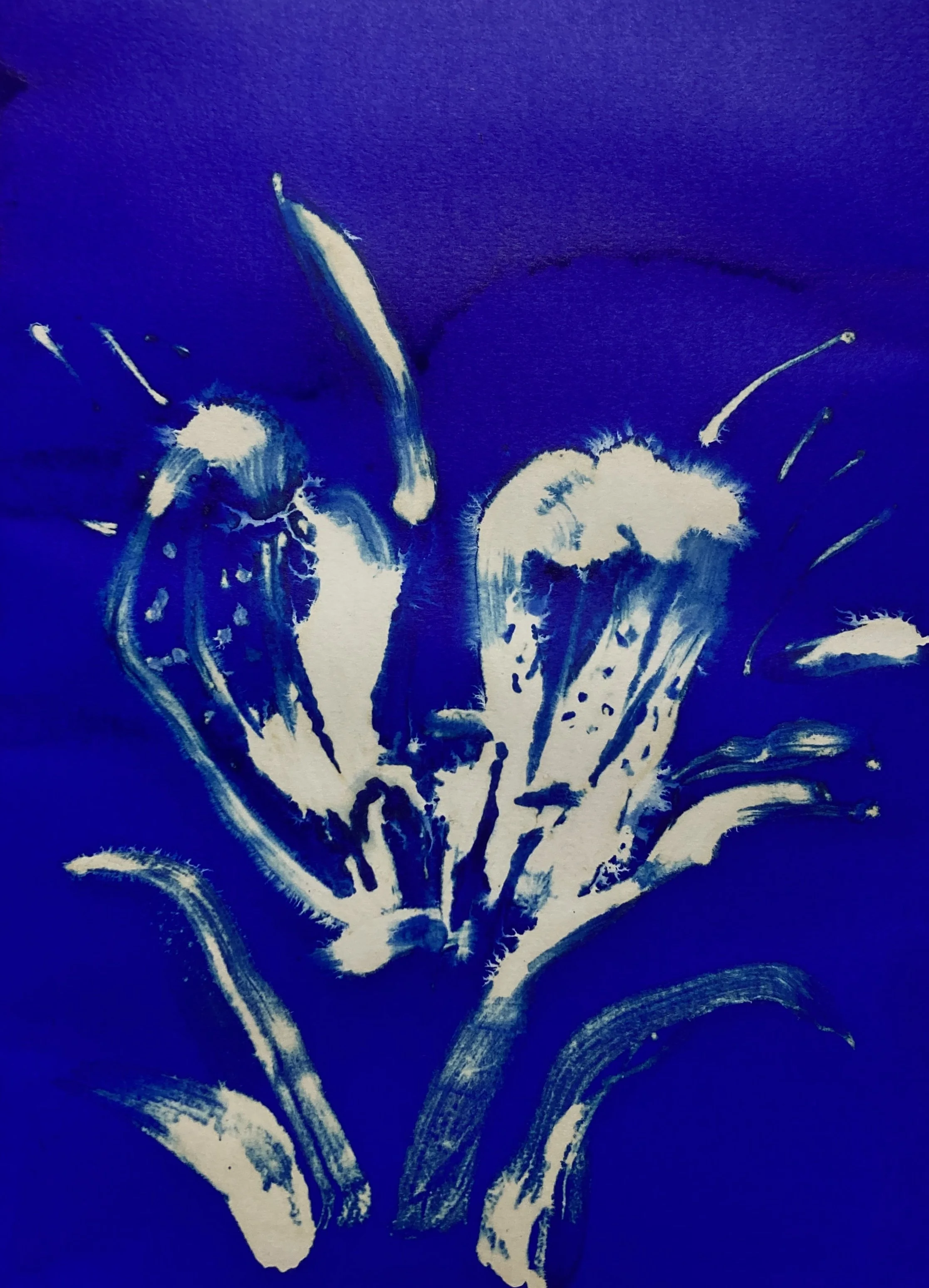 Fiori Rari | Blu