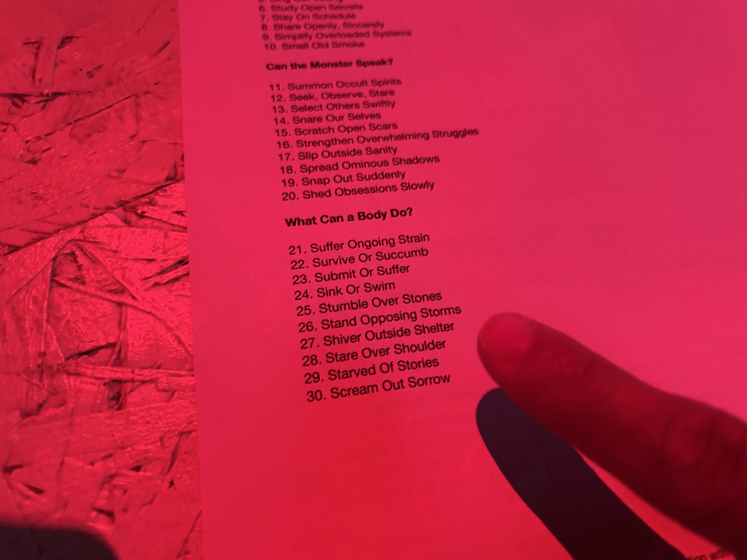 18.IMG_0481sm.jpeg