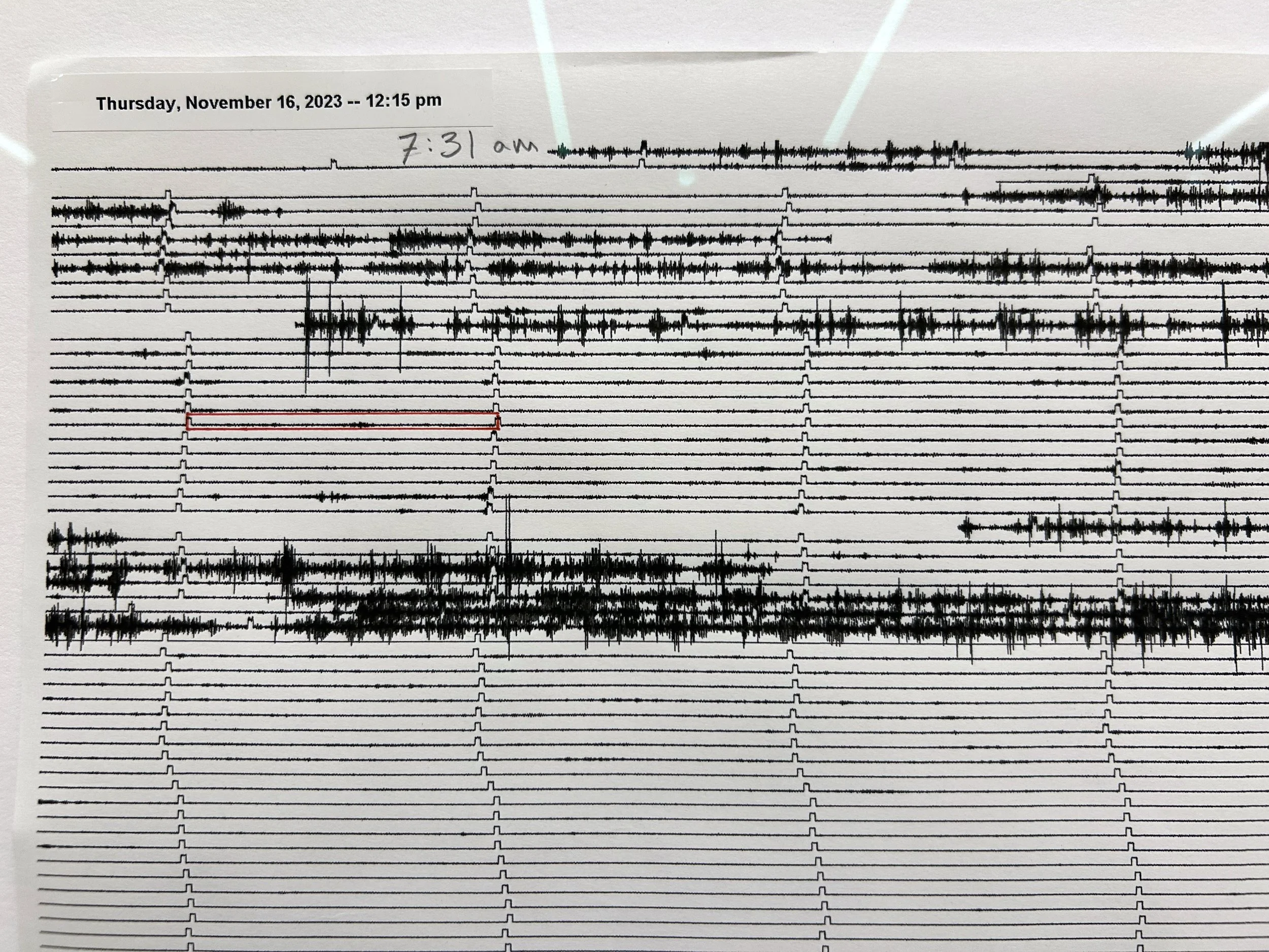 The Stenographer (SOS) (2025)