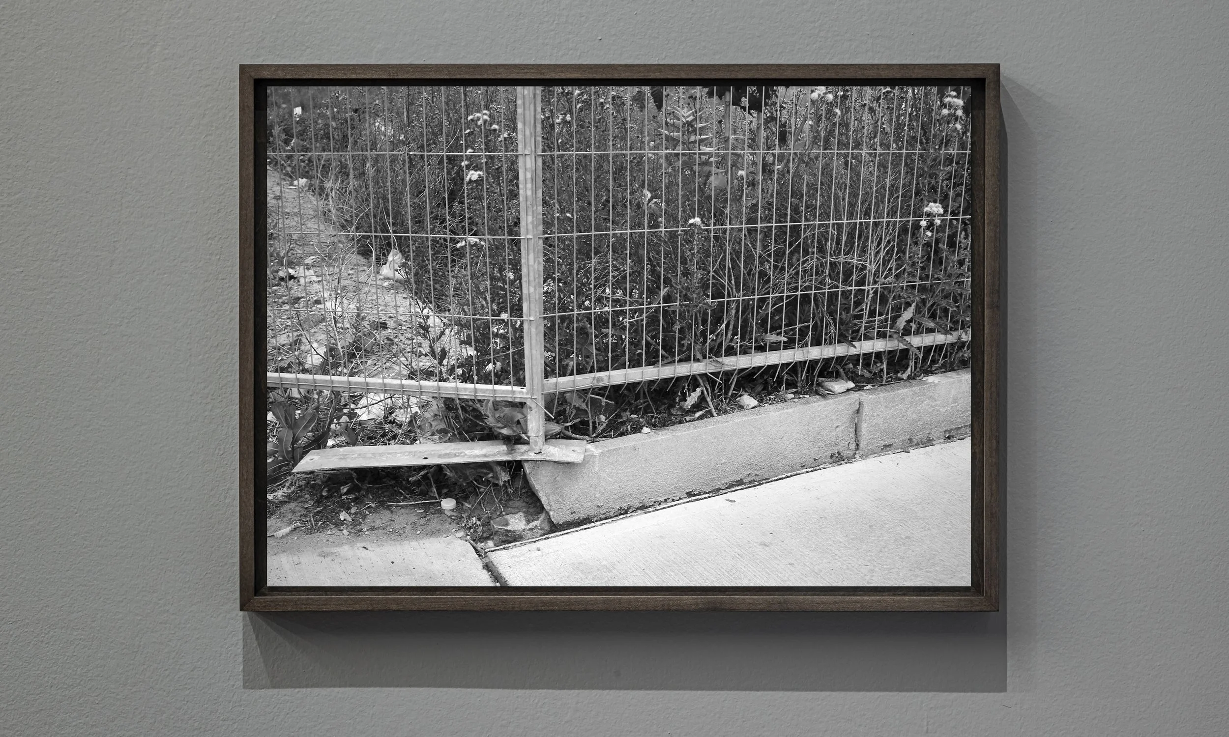 Roncesvalles Avenue, Toronto, ‘The Tangled Garden’ (2018)