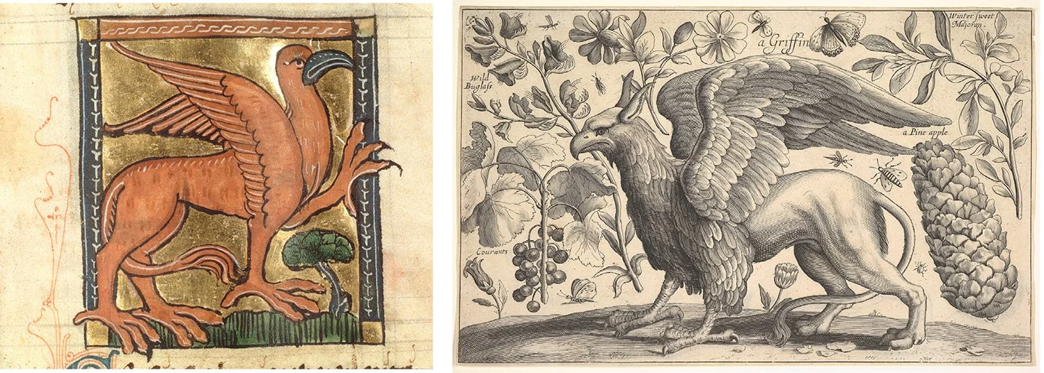 Two depictions of griffins, winged beasts with the body of a lion and the wings and head of an eagle