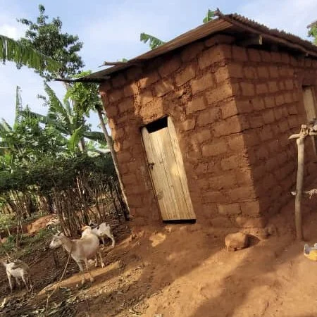 IMG-20221014-WA0018 (1).jpg