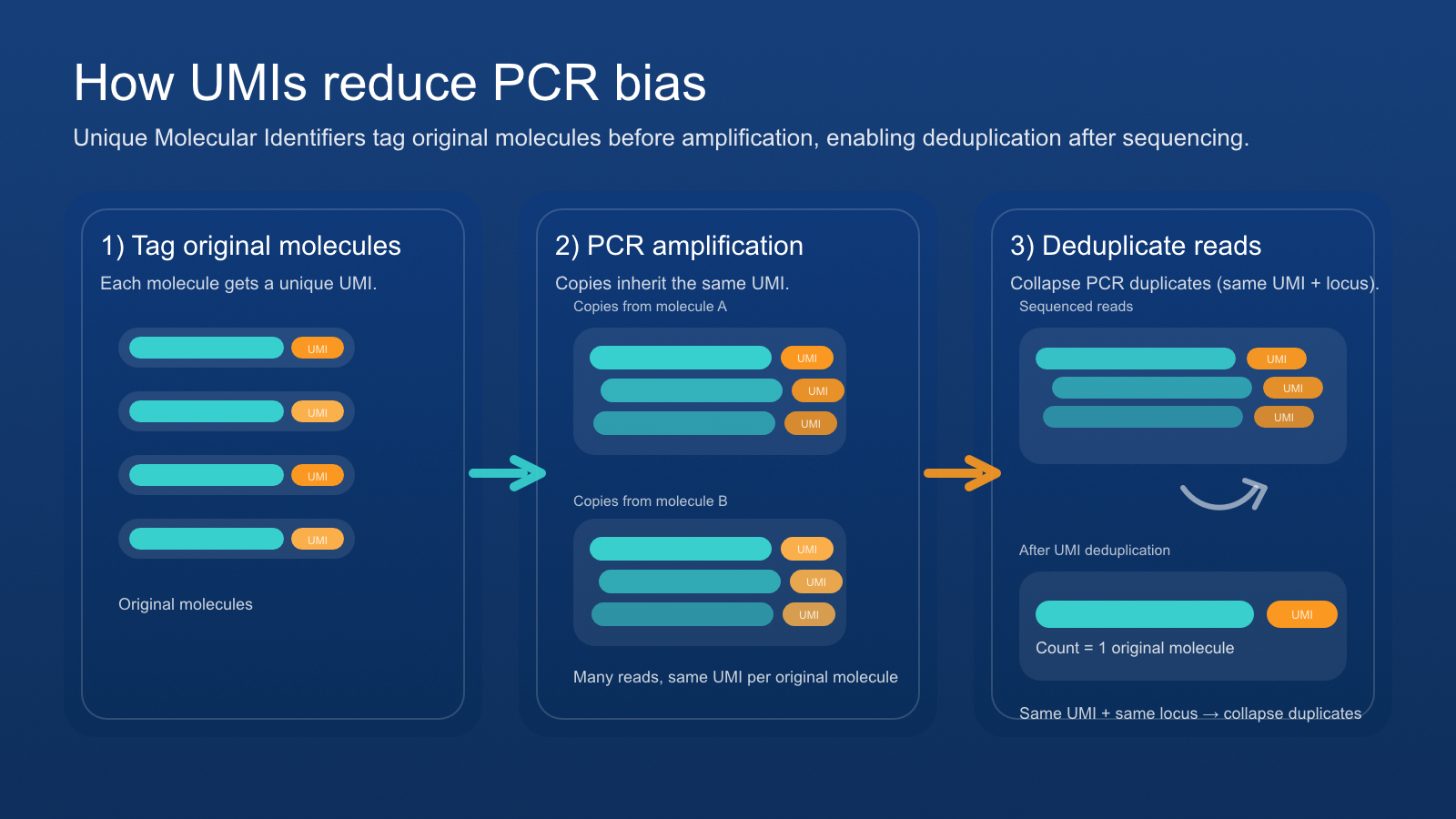 Solving PCR Bias in RNA-Seq with Unique Molecular Identifiers (UMIs)