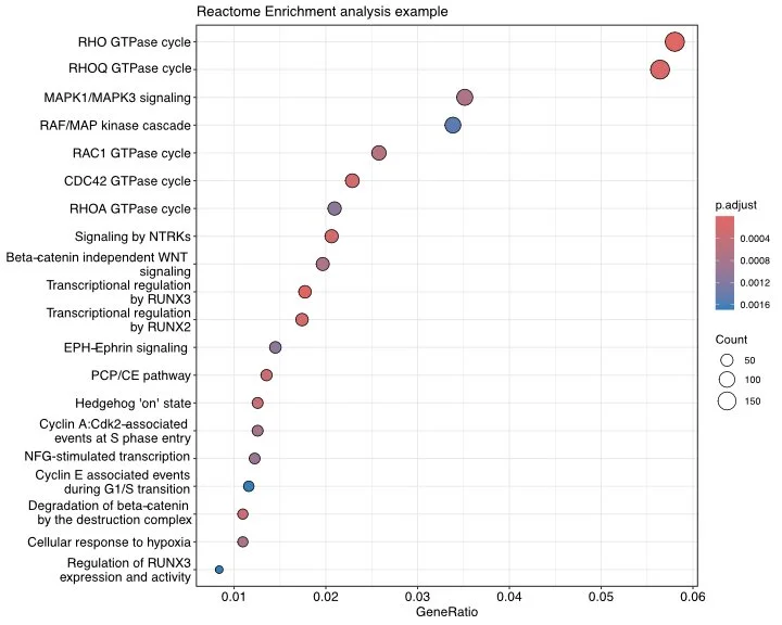 Reactome Enrichment analysis