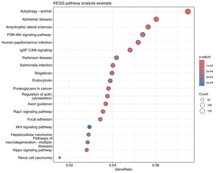 KEGG pathway analysis