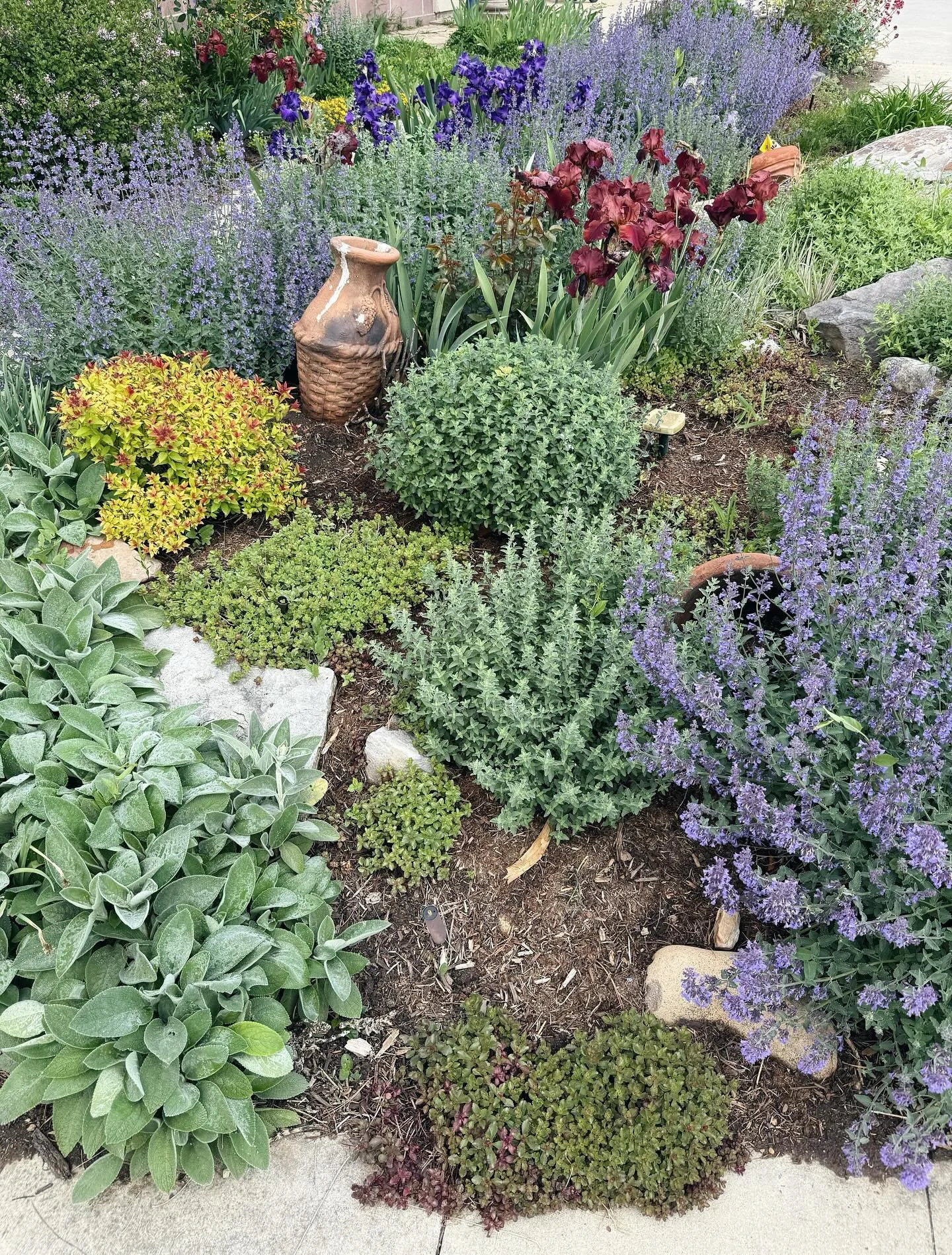The gardens have my attention.