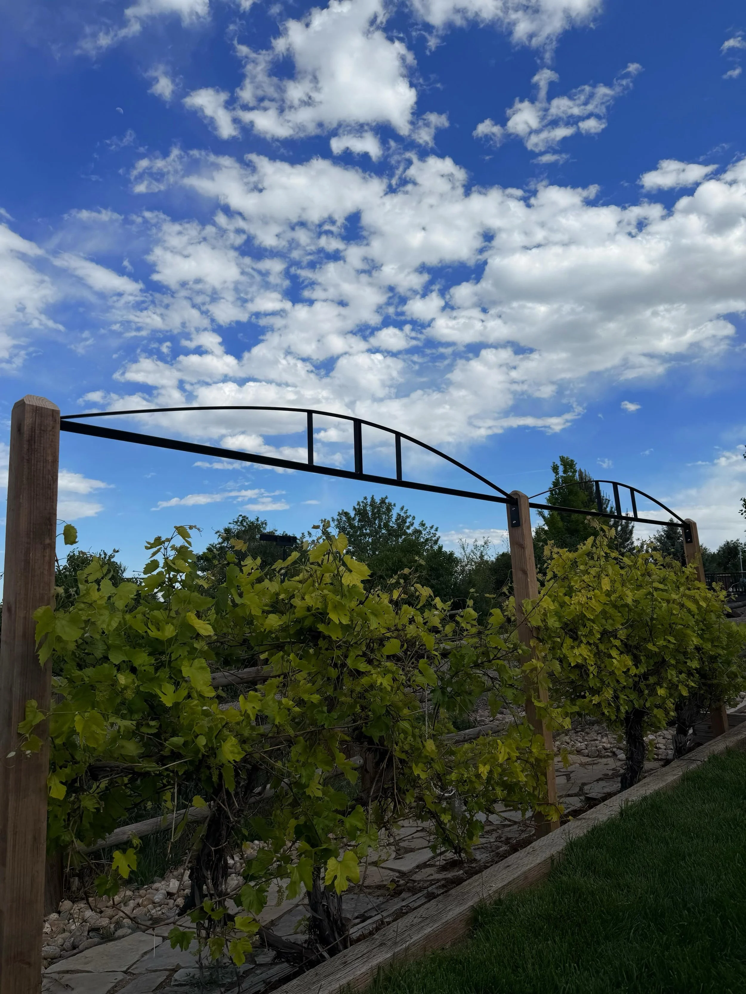 Always a treat when a client approaches with a design in mind that we can help make real. Arbor details by @tscahoon