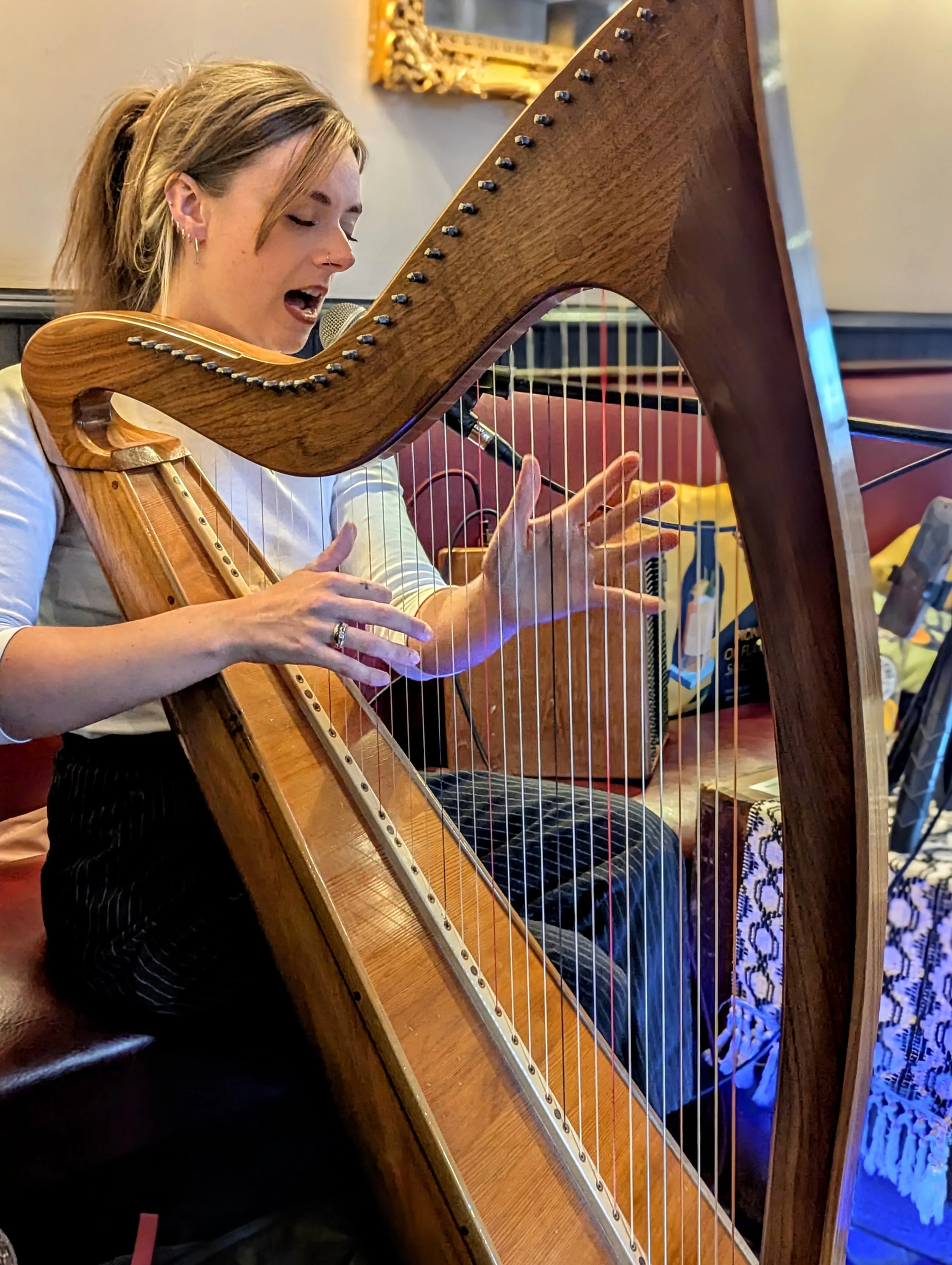 Dara Dubh on the Harp - Every Thursday