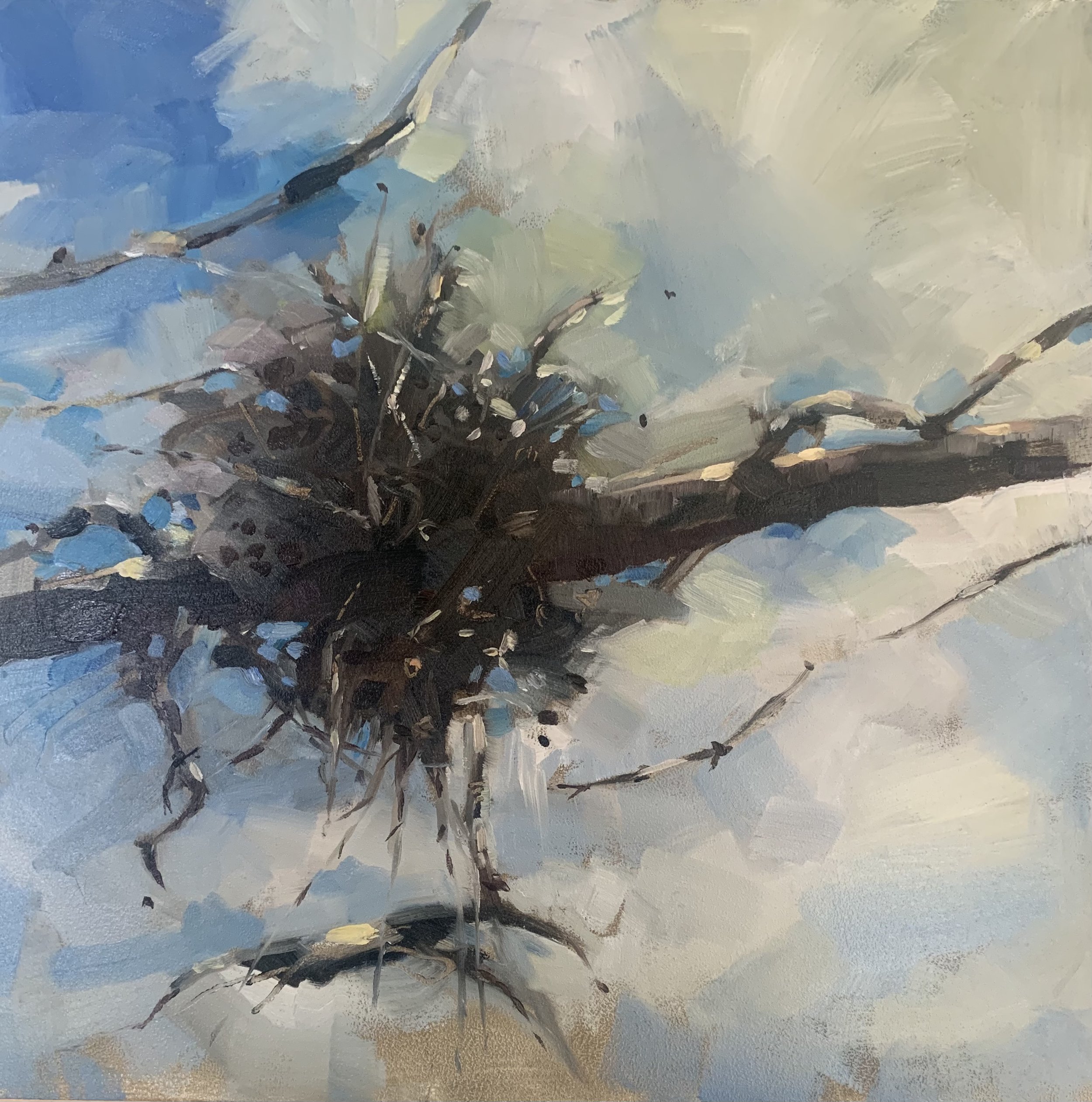 'Nest'