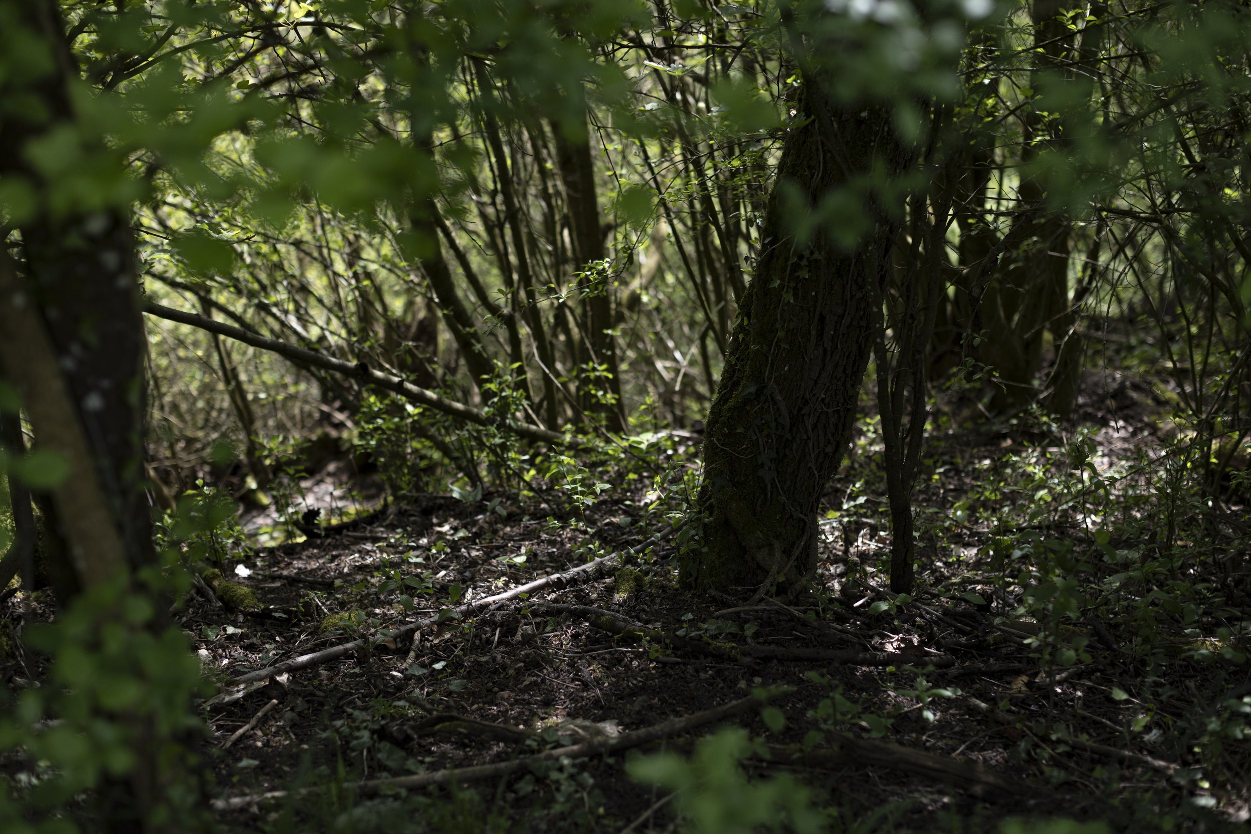 Wald_Atelier_April24-31.jpg