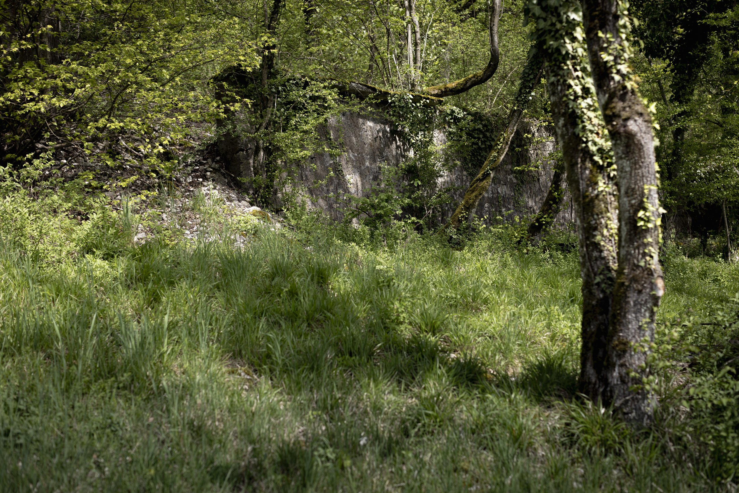 Wald_Atelier_April24-38.jpg