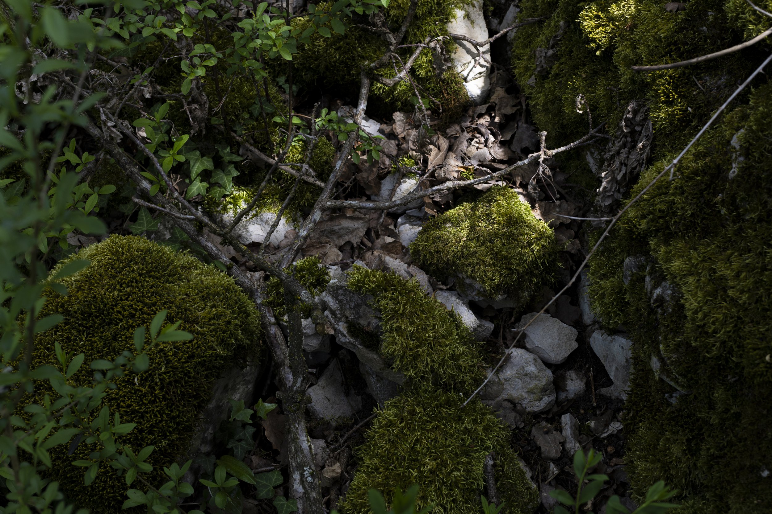 Wald_Atelier_April24-18.jpg