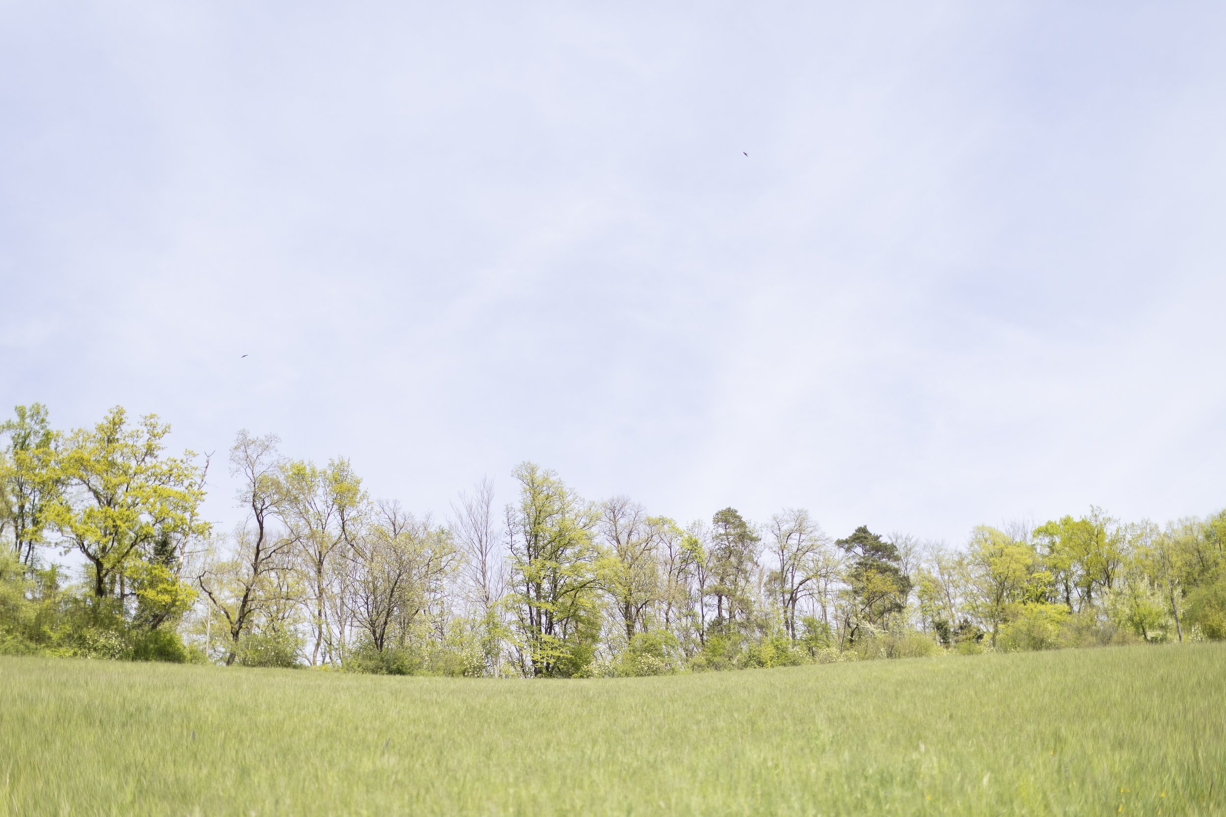 Wald_Atelier_April24-34.jpg