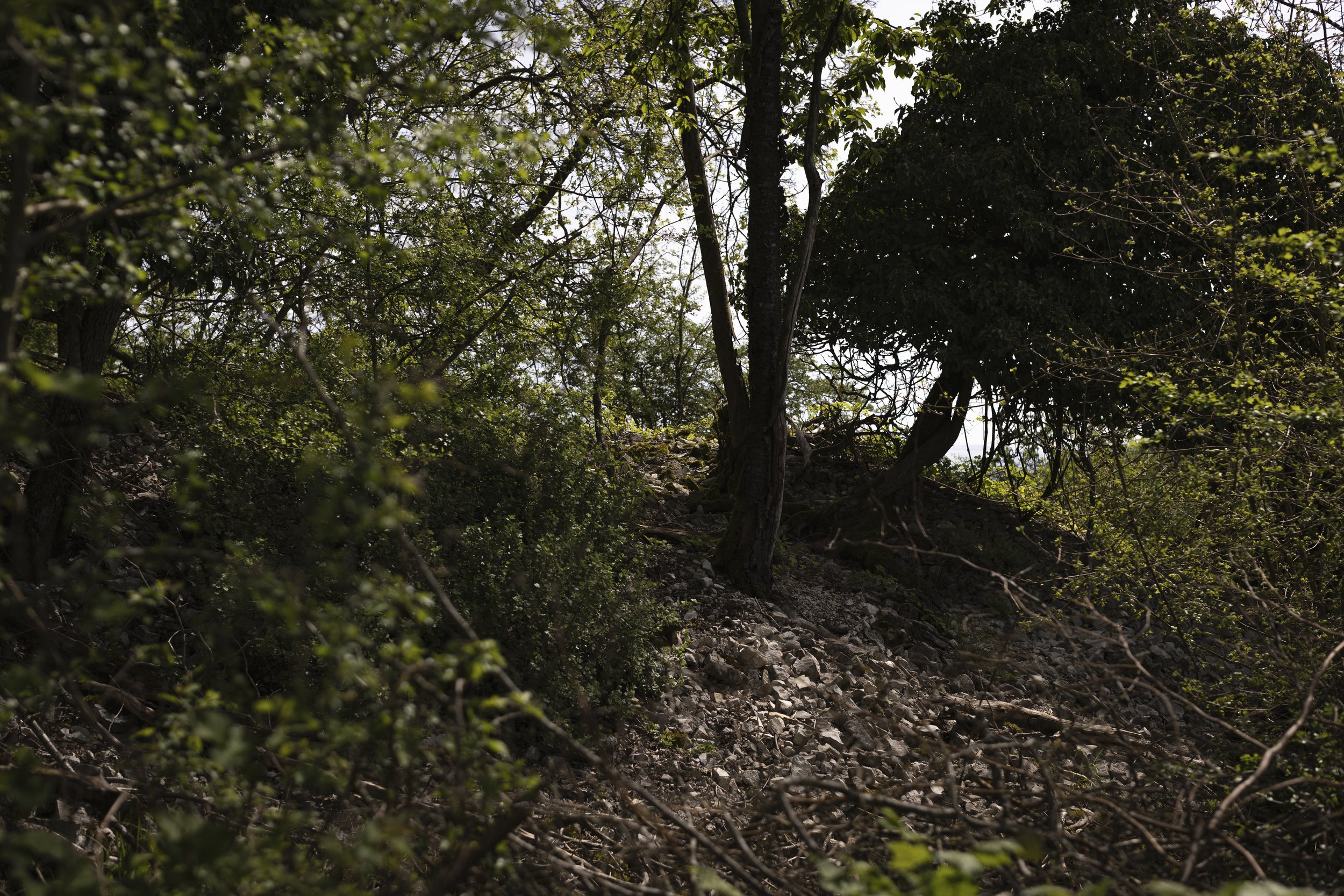 Wald_Atelier_April24-14.jpg
