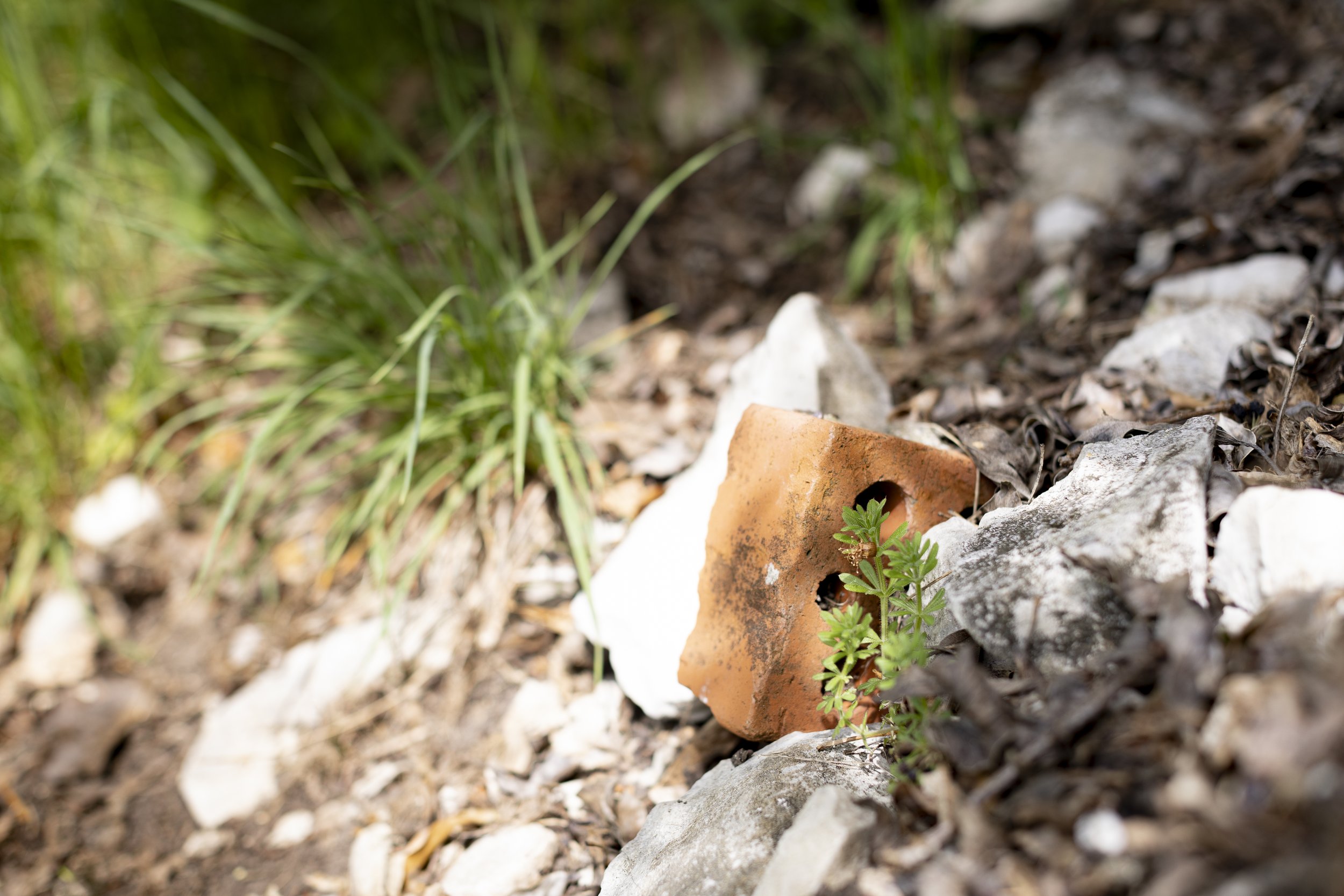 Wald_Atelier_April24-20.jpg