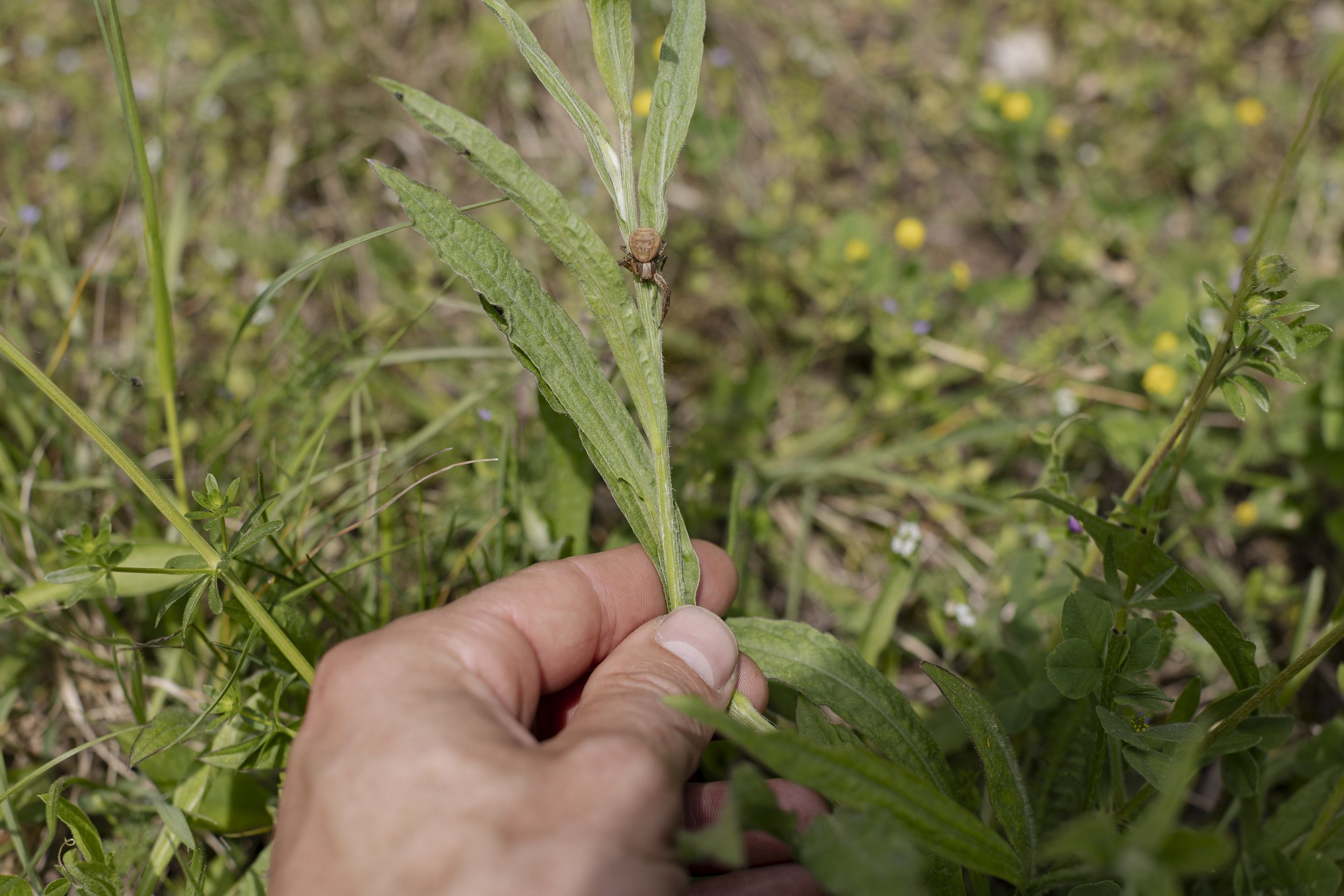 Wald_Atelier_April24-44.jpg