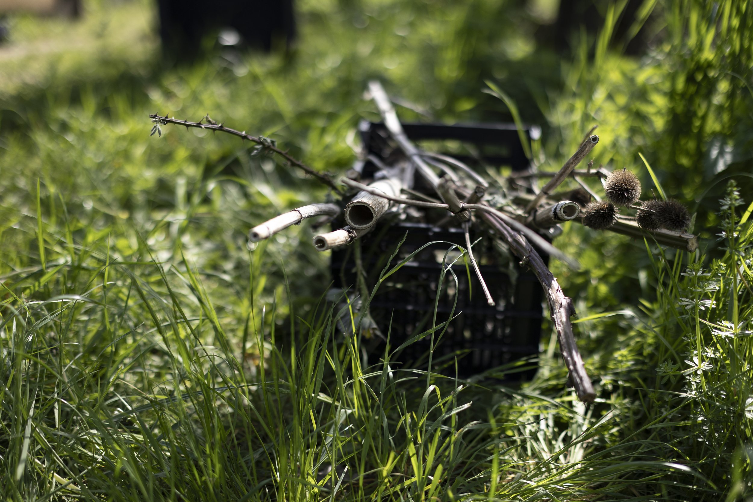 Wald_Atelier_April24-2.jpg