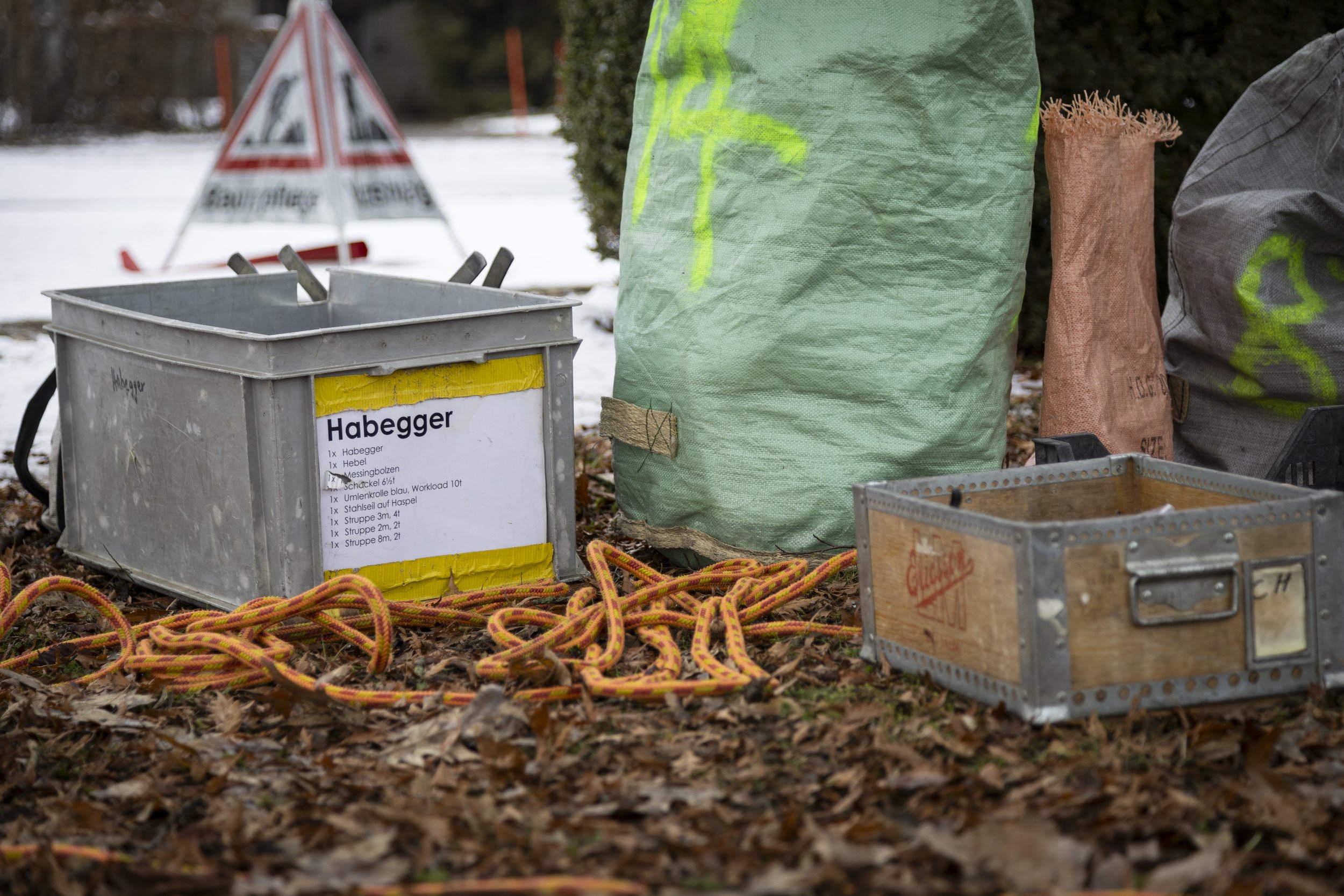 Baumpflege Hofstetter - Kronensicherung