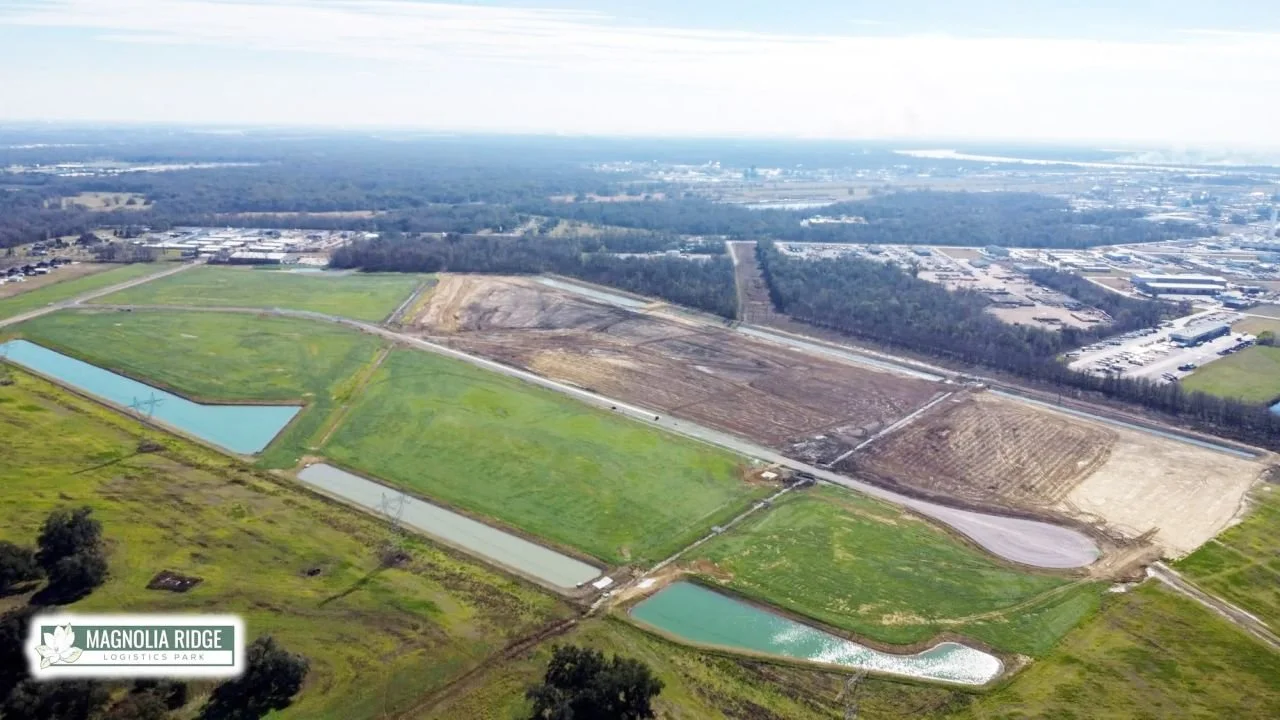 magnolia ridge - site clearing - 1.jpeg