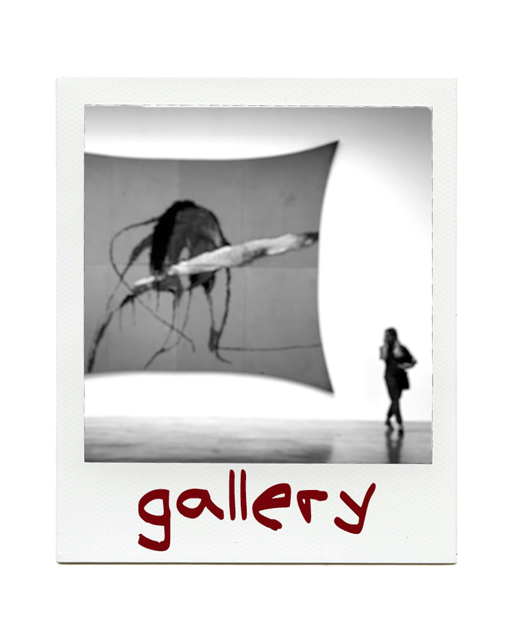 Gallery Polaroid