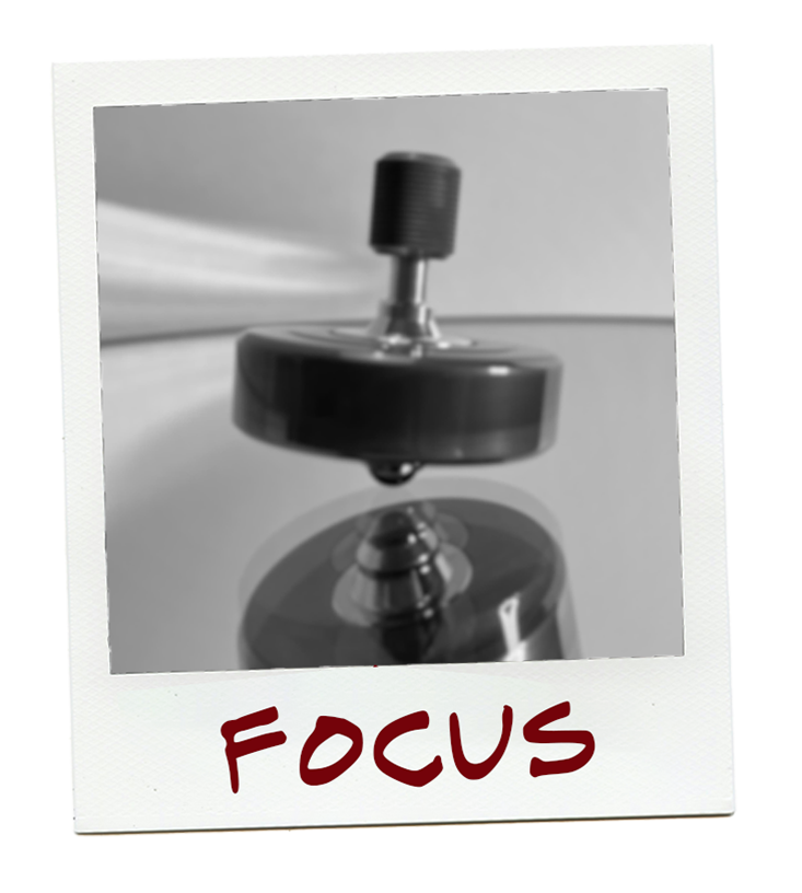 Focus Polaroid