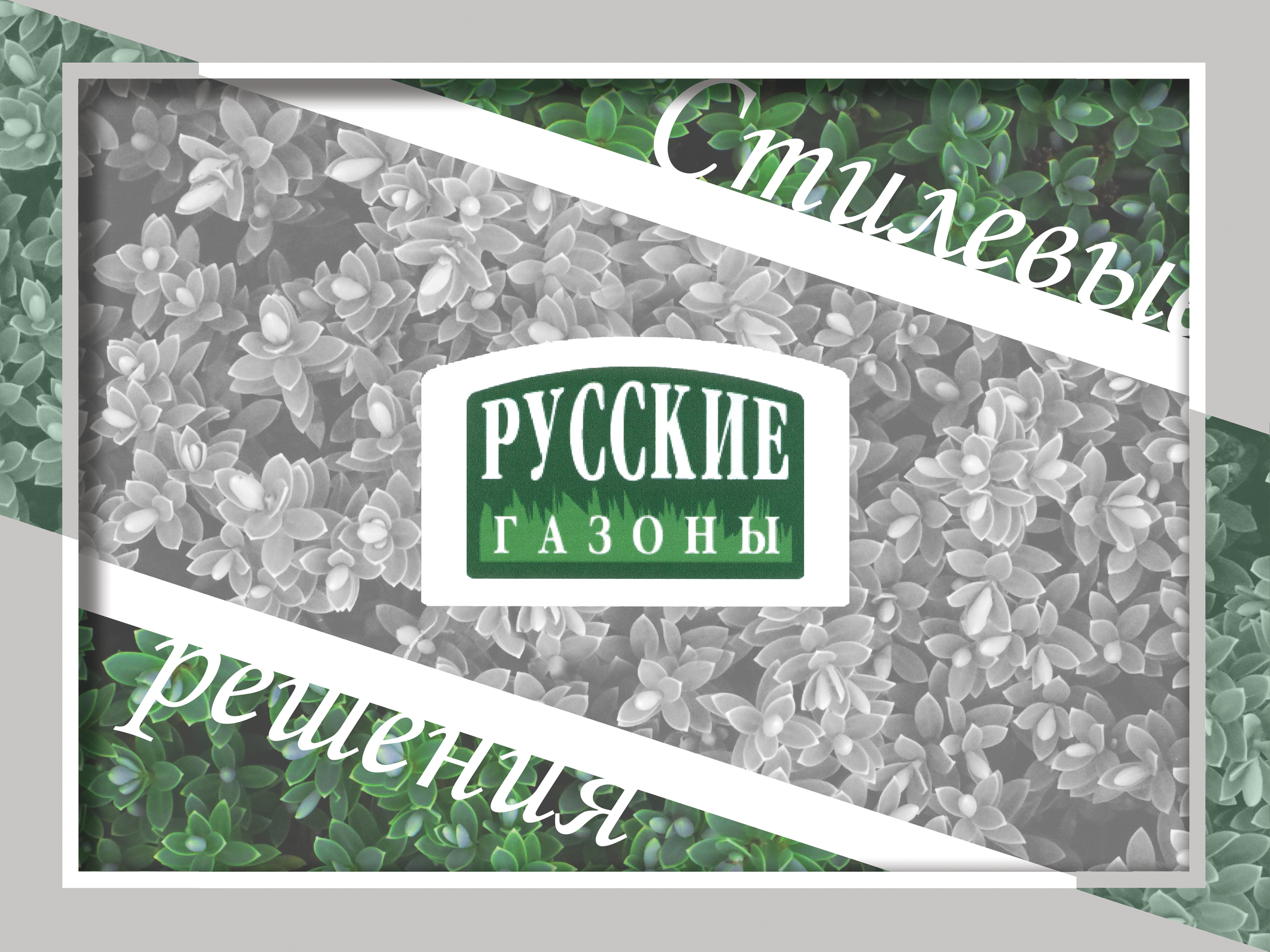 Russian Lawn Grasses & Landscape