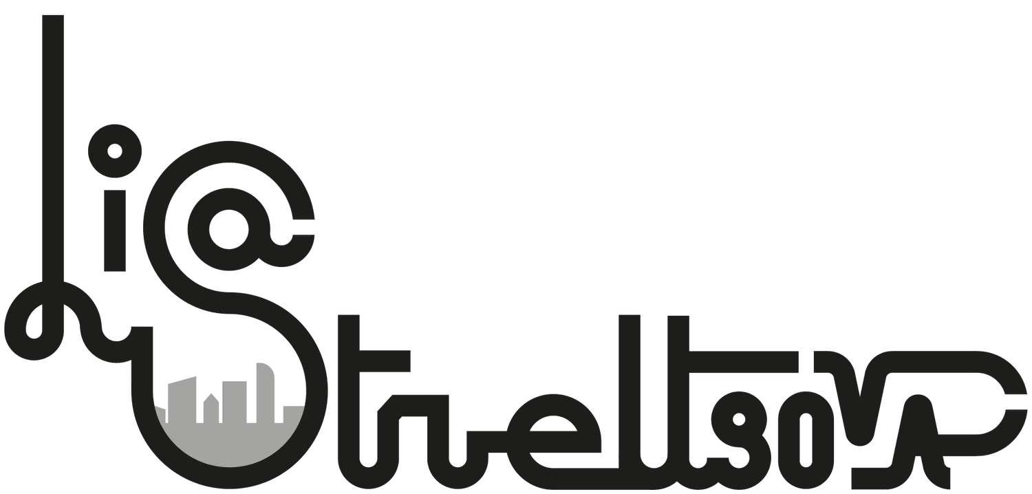 Lisa Streltsova┃PORTFOLIO