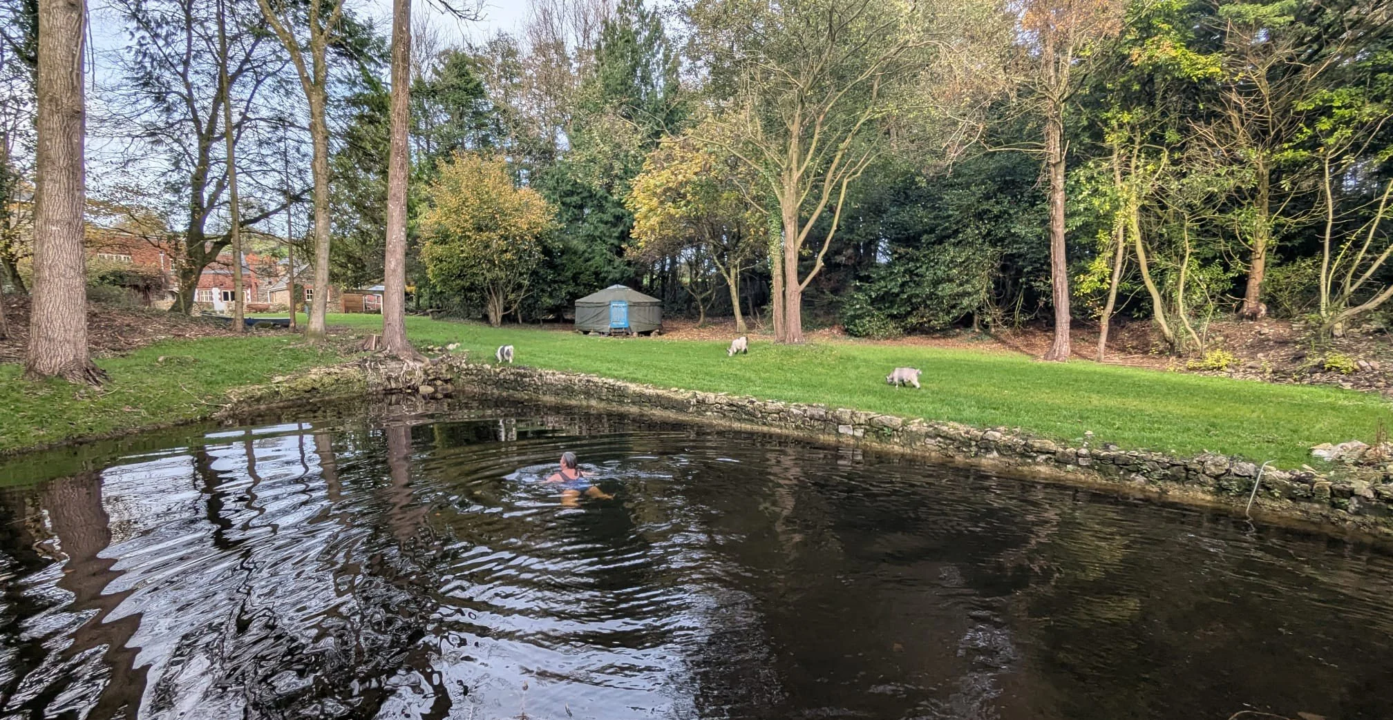 WhatsApp Image 2025-11-13 at 14.47.27.jpeg