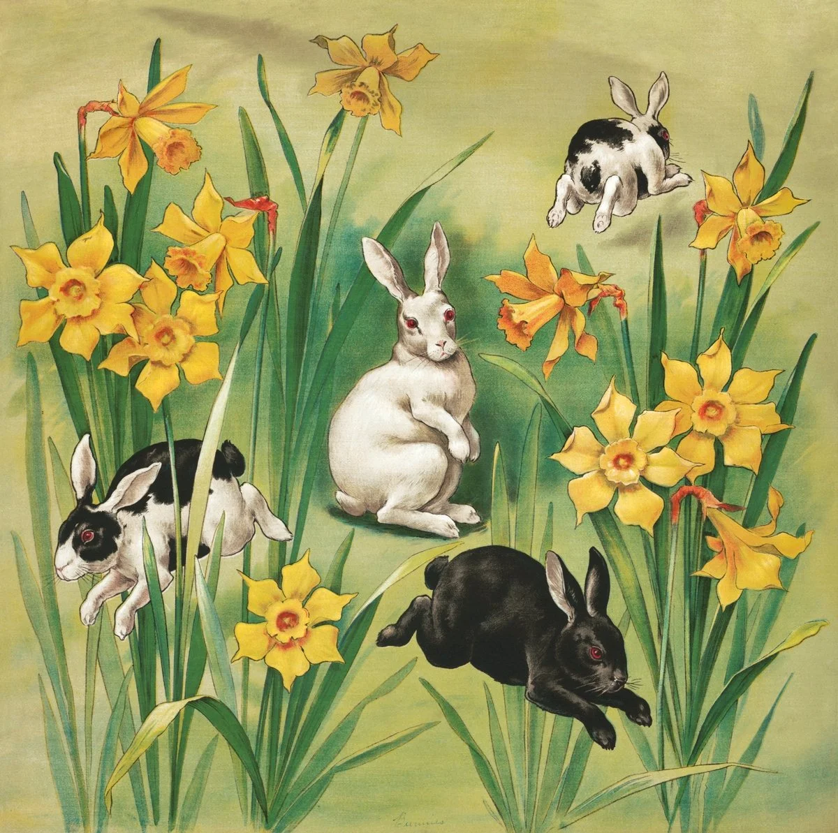 Spring is Here! — Valley View United Methodist Church