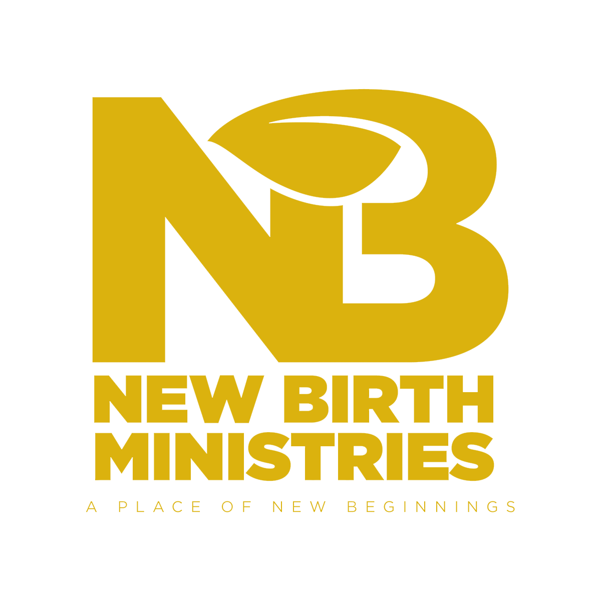 New Birth Ministries